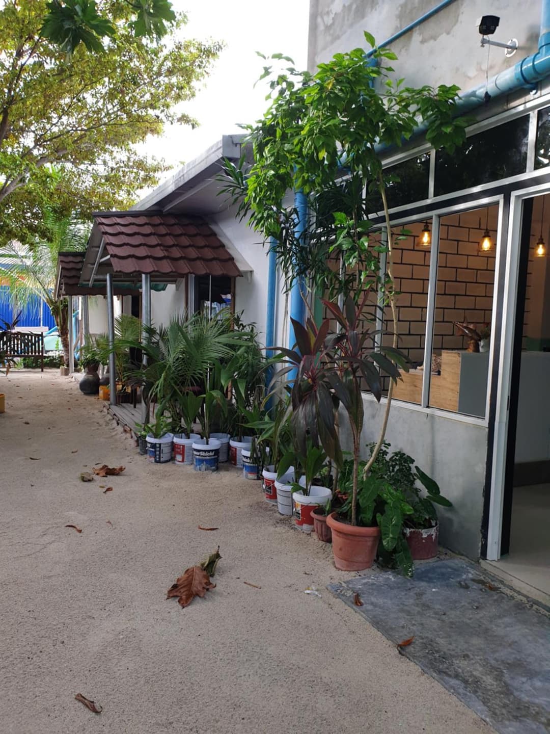 Maafushi View - View 65