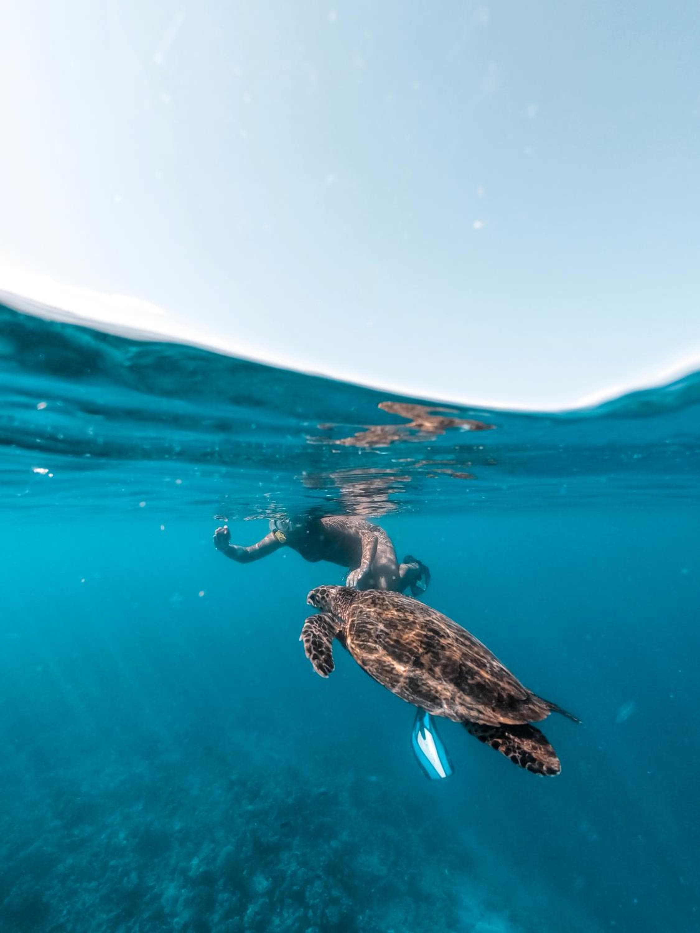 Rashu Hiyaa - View 14