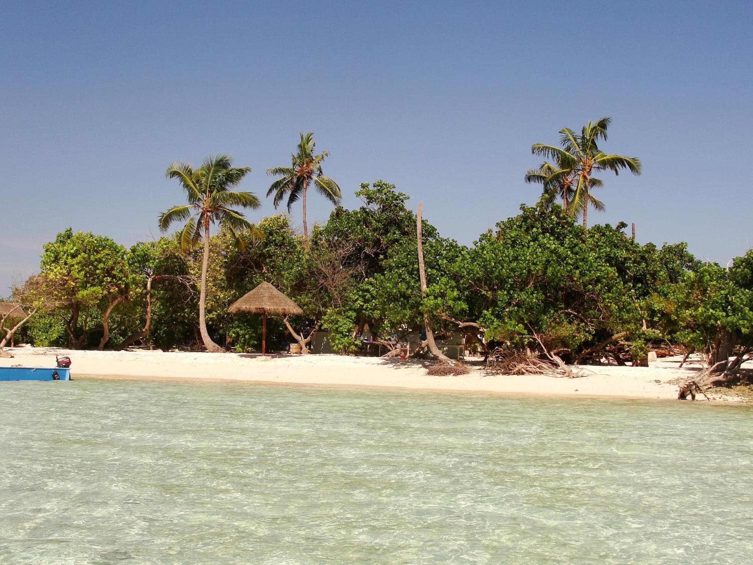 Ras Rana Lodge - View 139