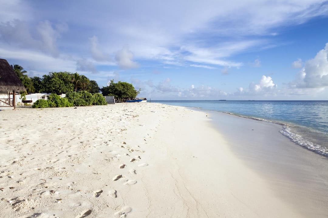 Tropic Tree Maldives - View 25