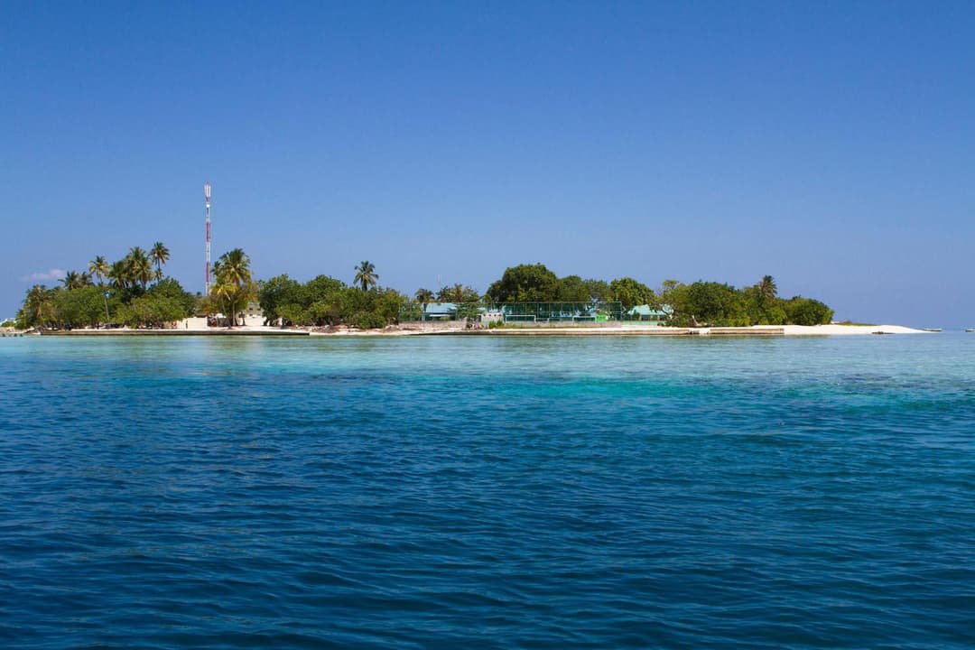 Tropic Tree Maldives - View 38