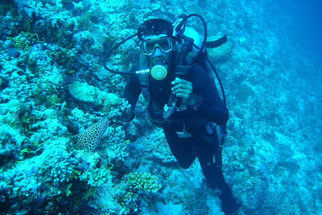 Tropic Tree Maldives - View 11