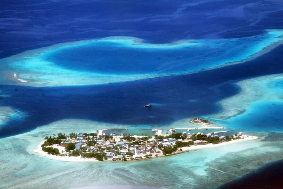 Tropic Tree Maldives - View 58