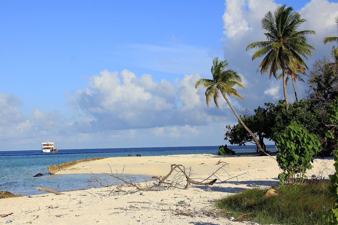 Tropic Tree Maldives - View 13