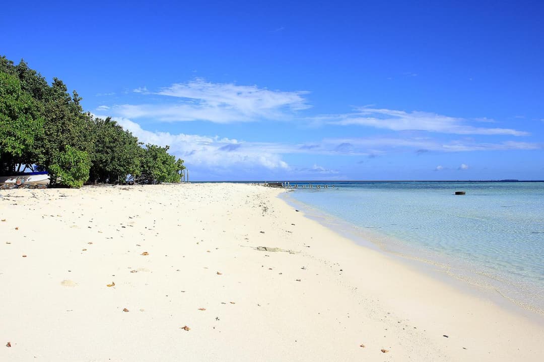 Tropic Tree Maldives - View 57