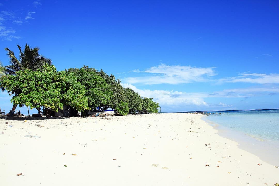 Tropic Tree Maldives - View 14
