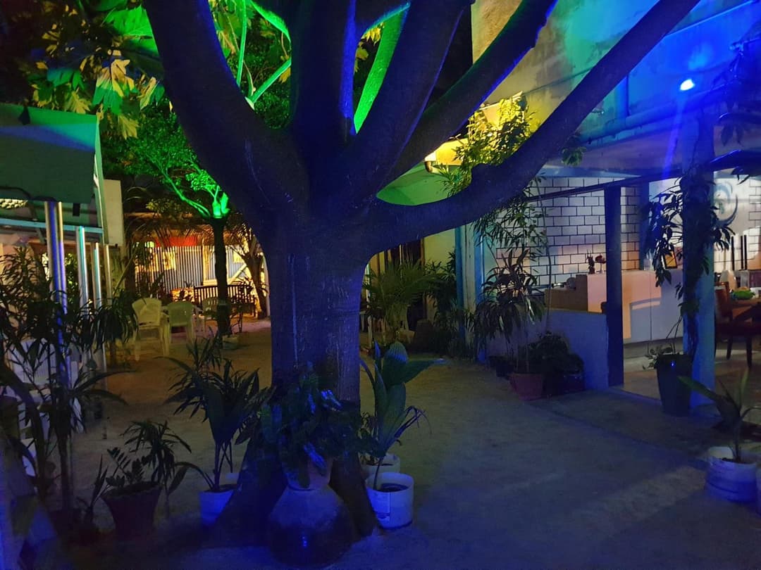 Maafushi View - View 8