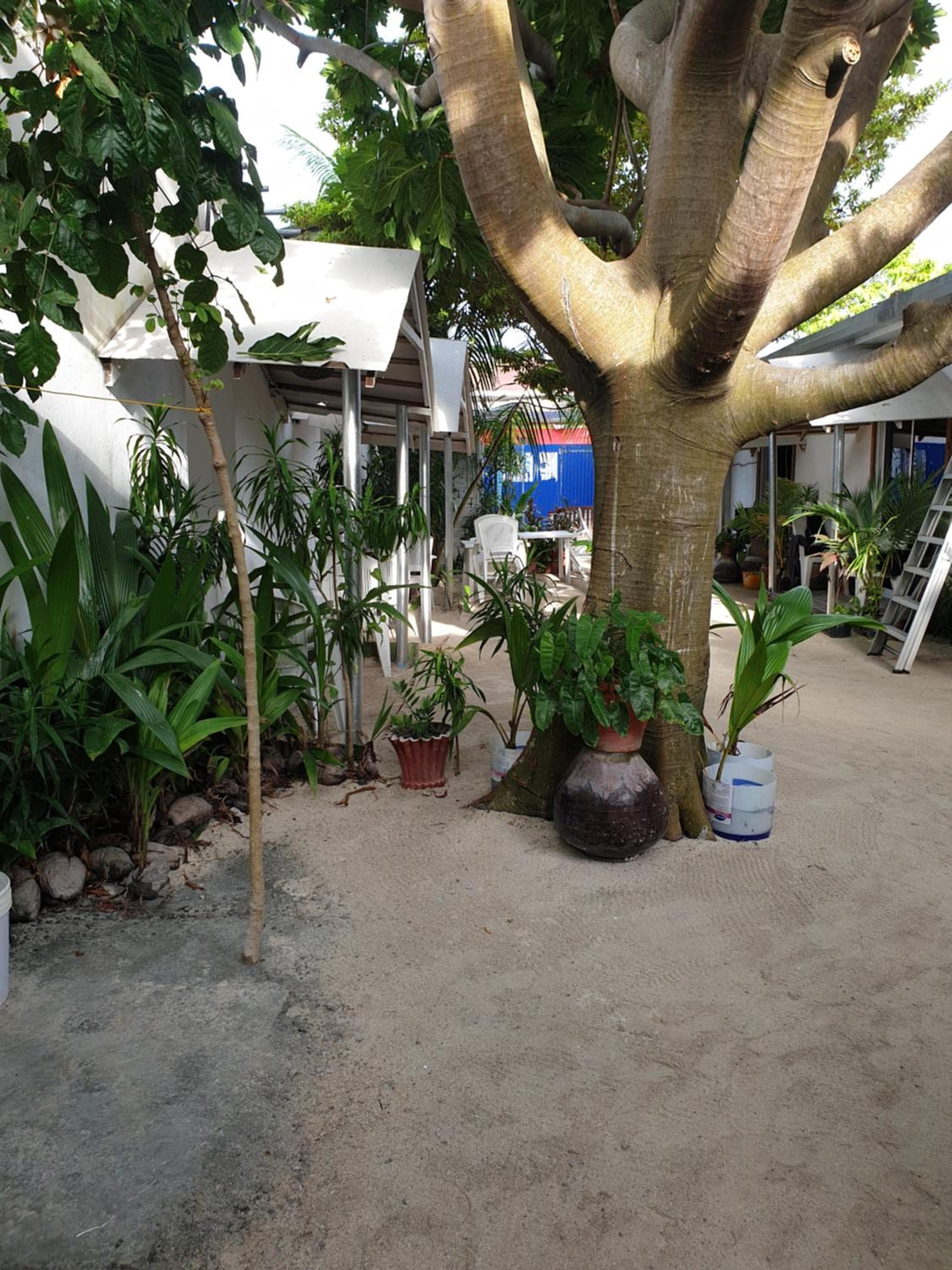 Maafushi View - View 64