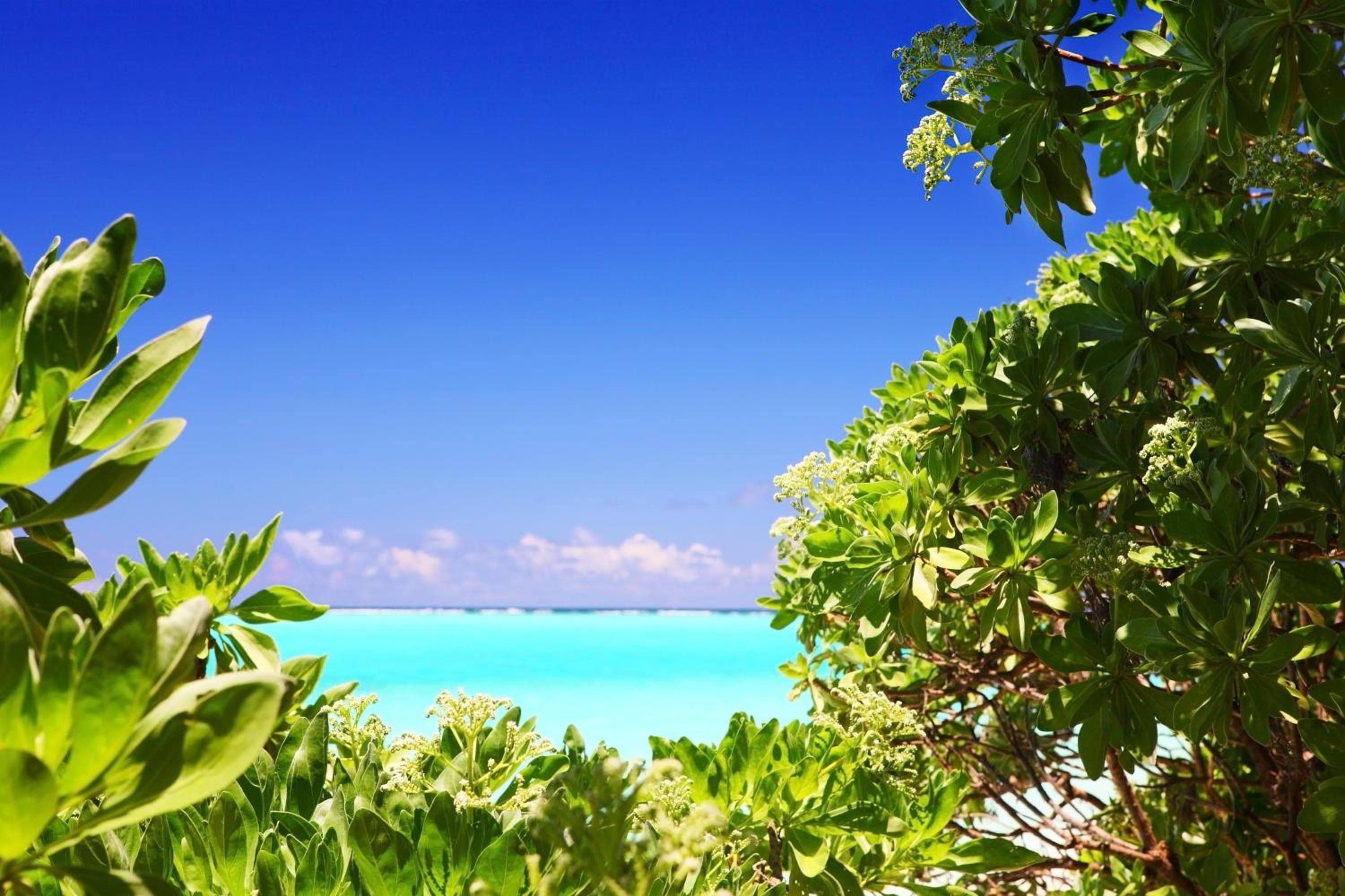 Holiday Cottage Thoddoo, Maldives - View 44