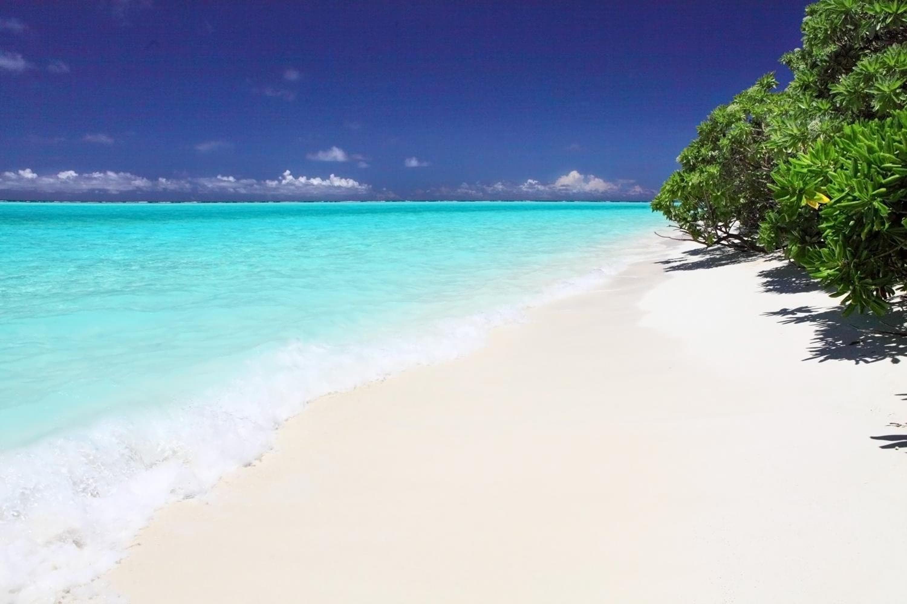 Holiday Cottage Thoddoo, Maldives - View 19