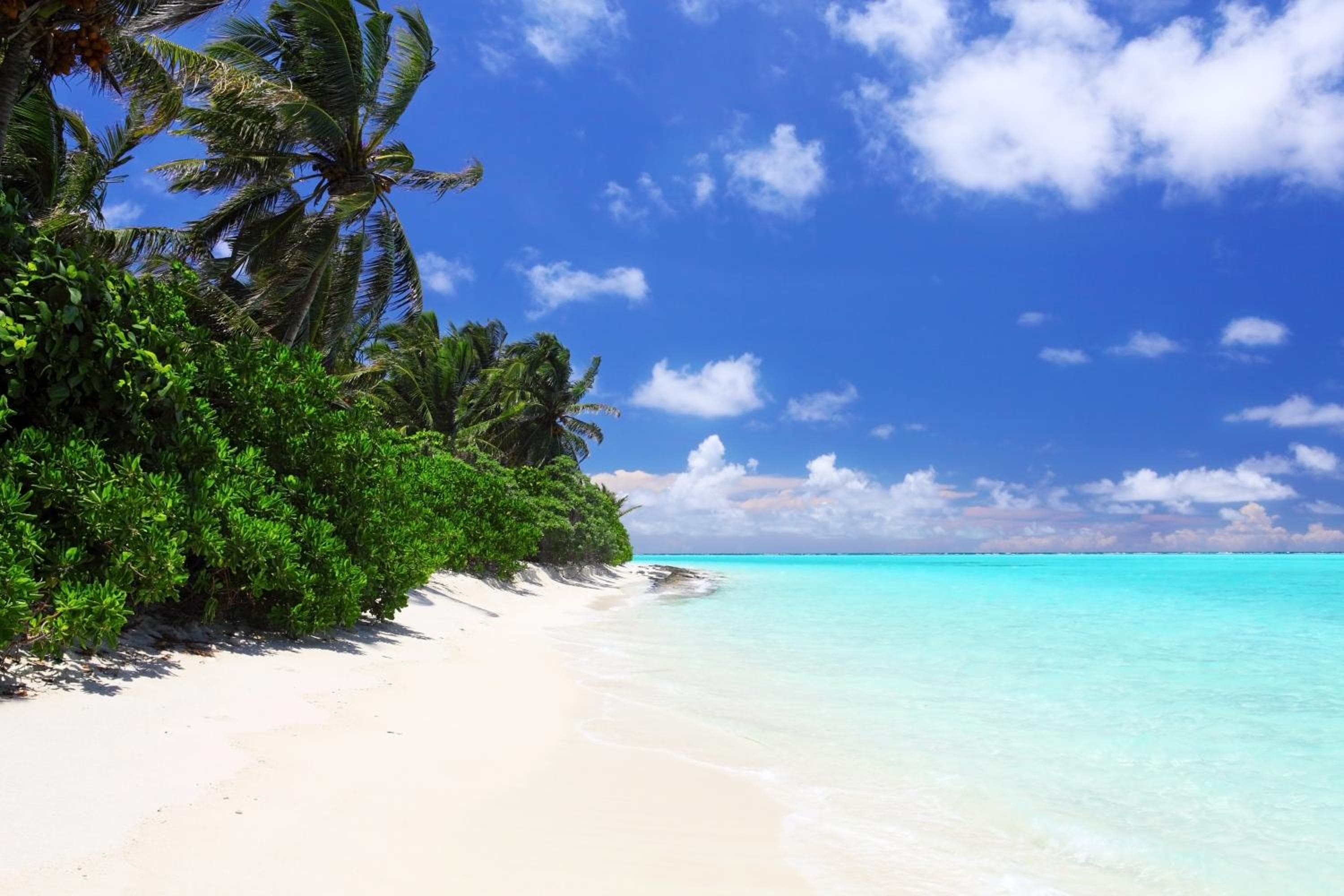 Holiday Cottage Thoddoo, Maldives - View 42