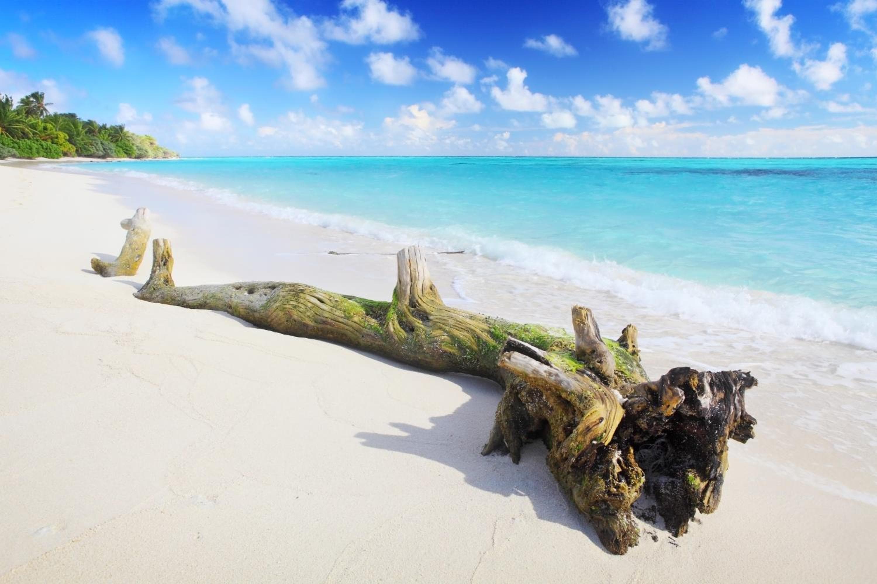 Holiday Cottage Thoddoo, Maldives - View 7