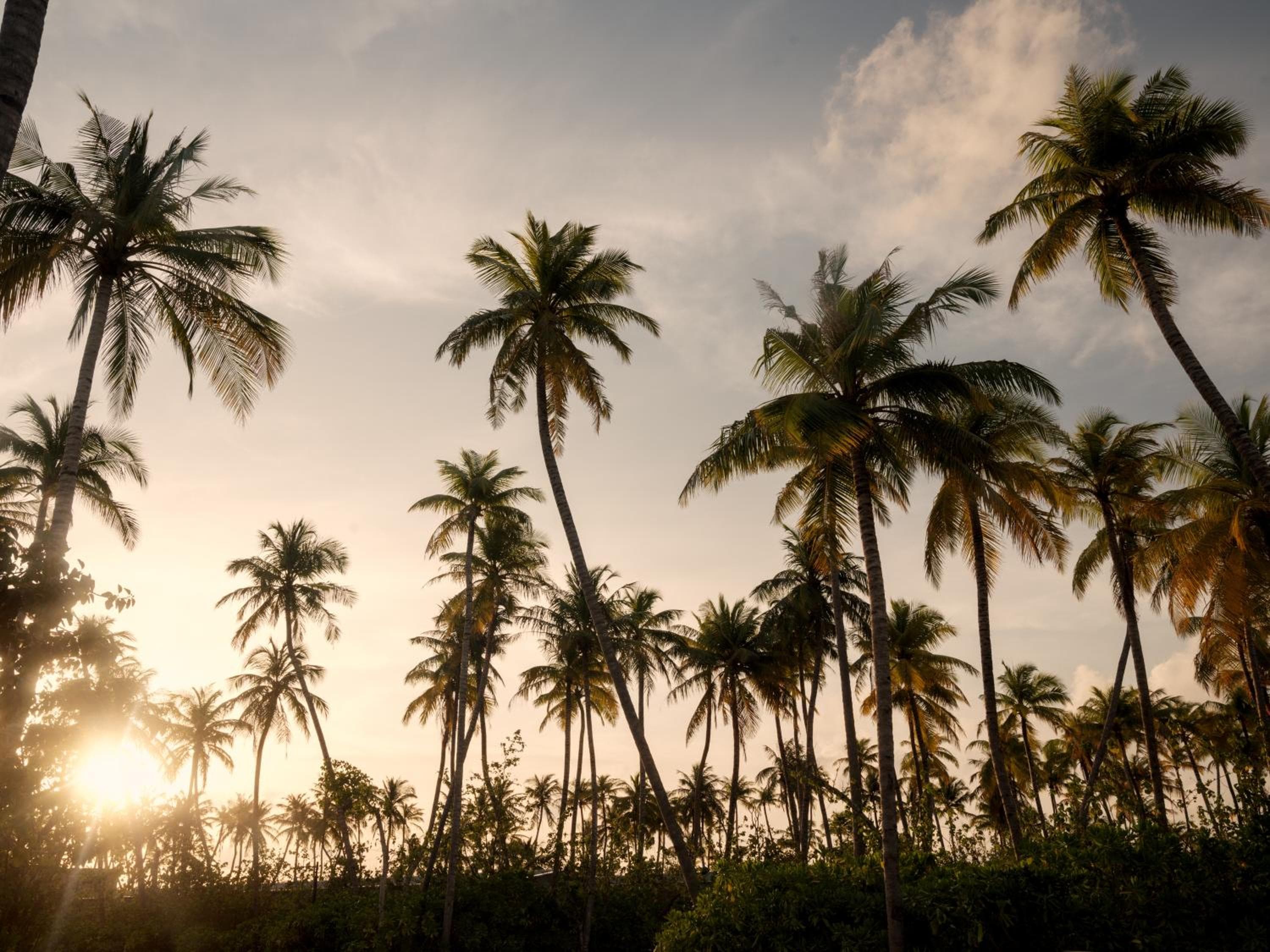 Patina Maldives, Fari Islands - View 217