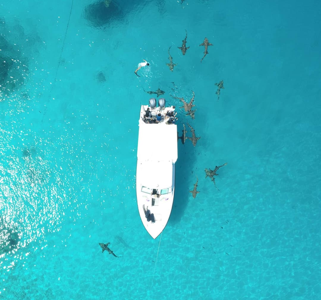 Ecoboo Maldives - View 63