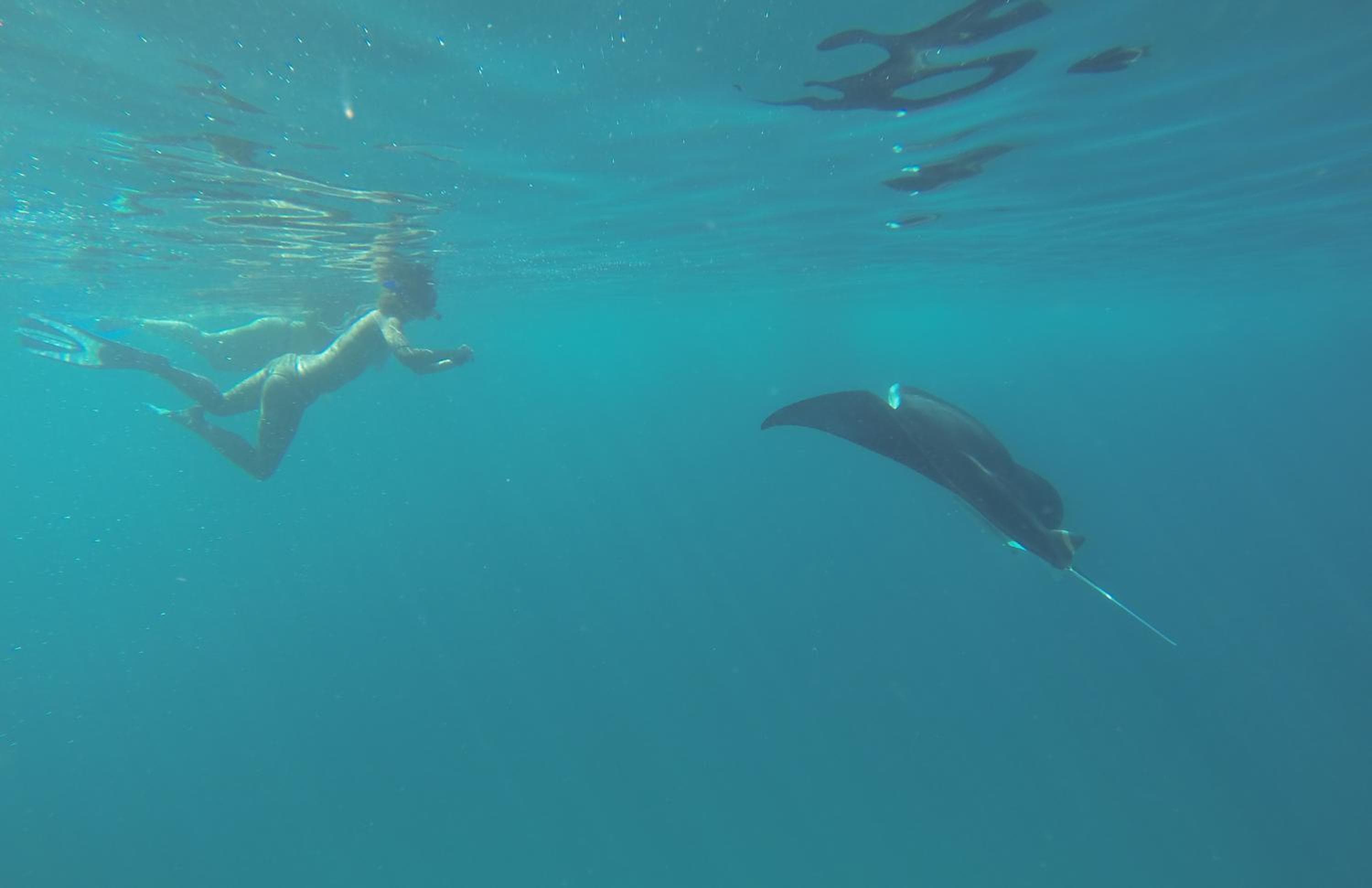 Sevinex Inn - View 41