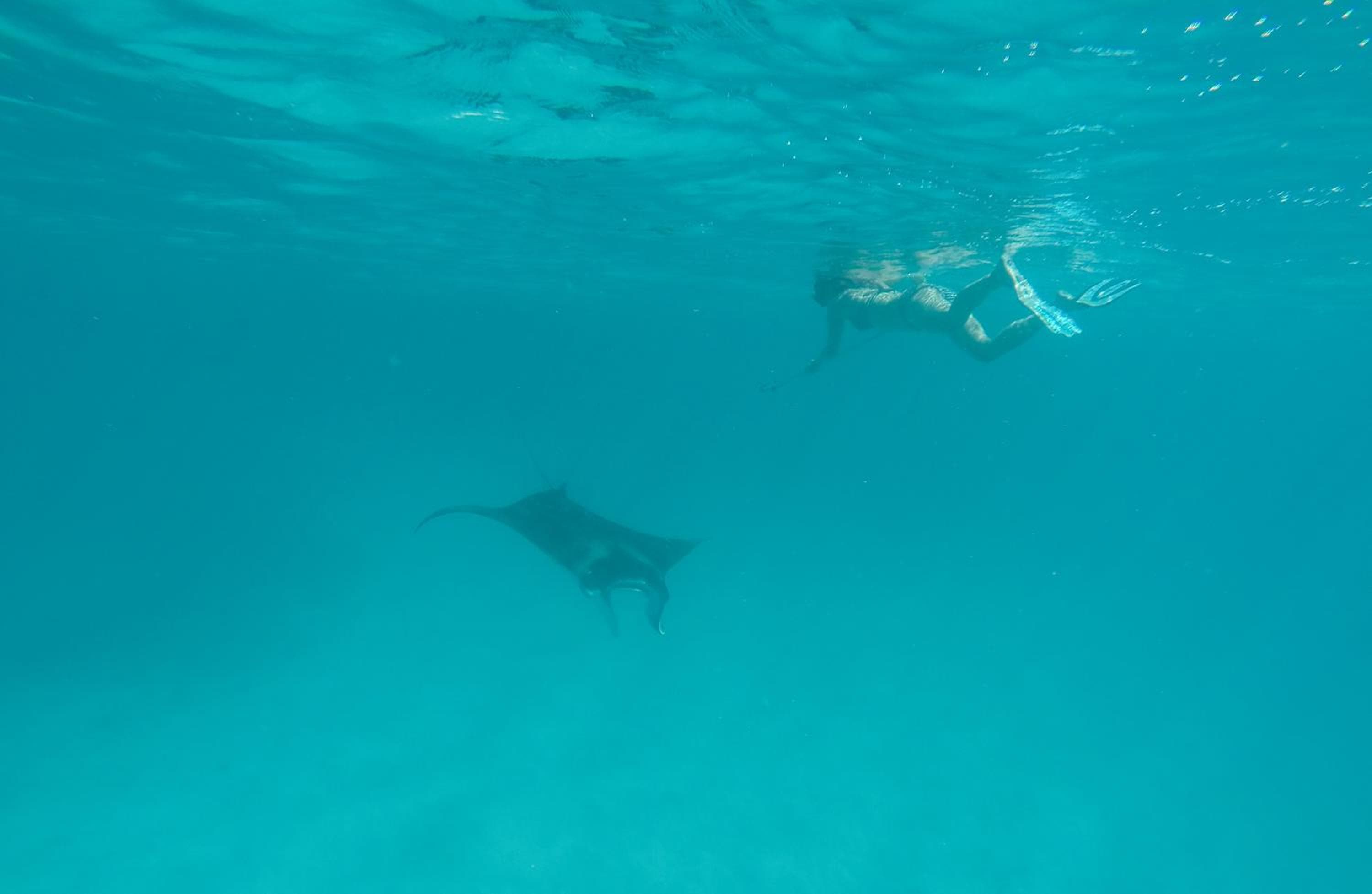 Sevinex Inn - View 23