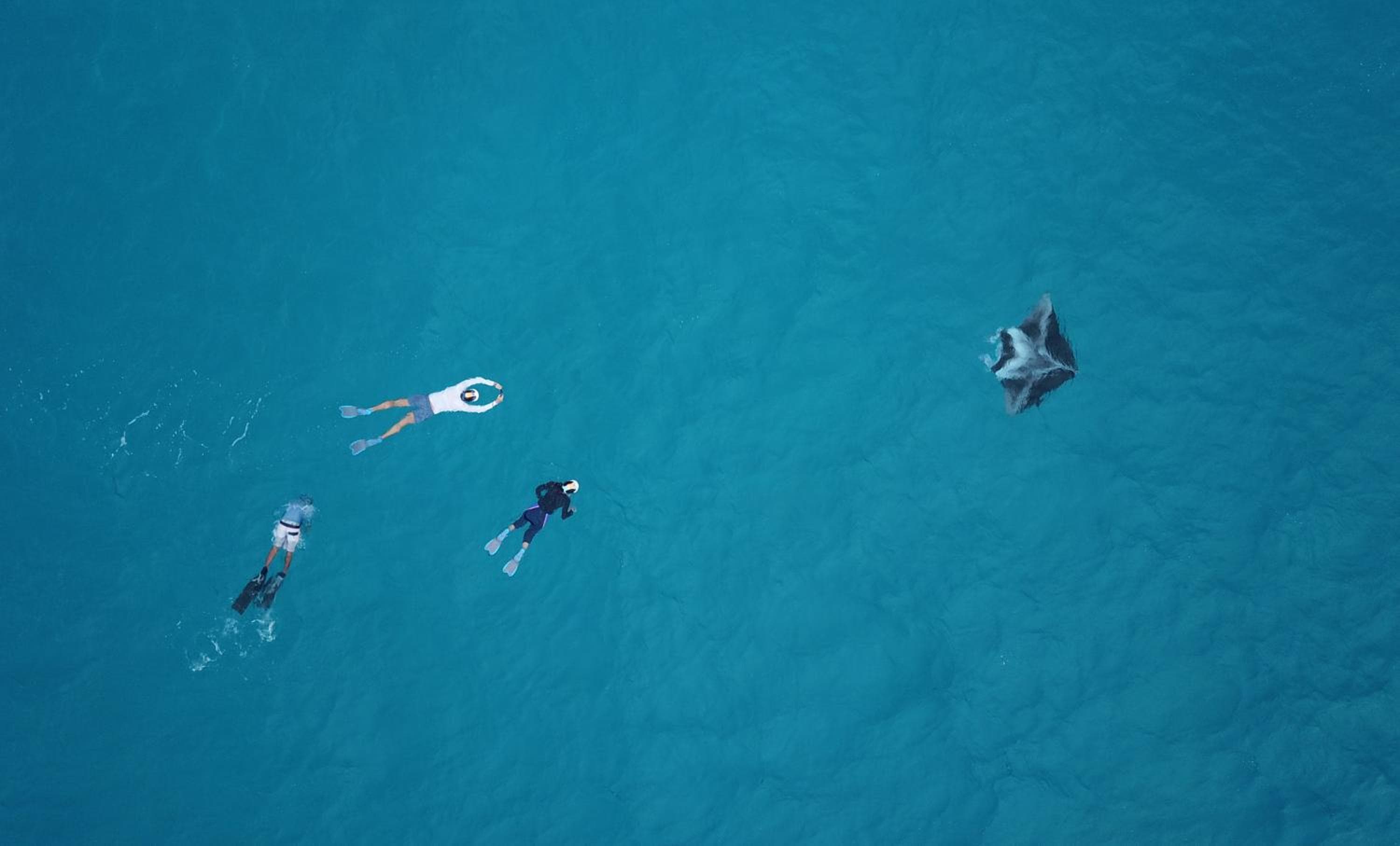 Sevinex Inn - View 5