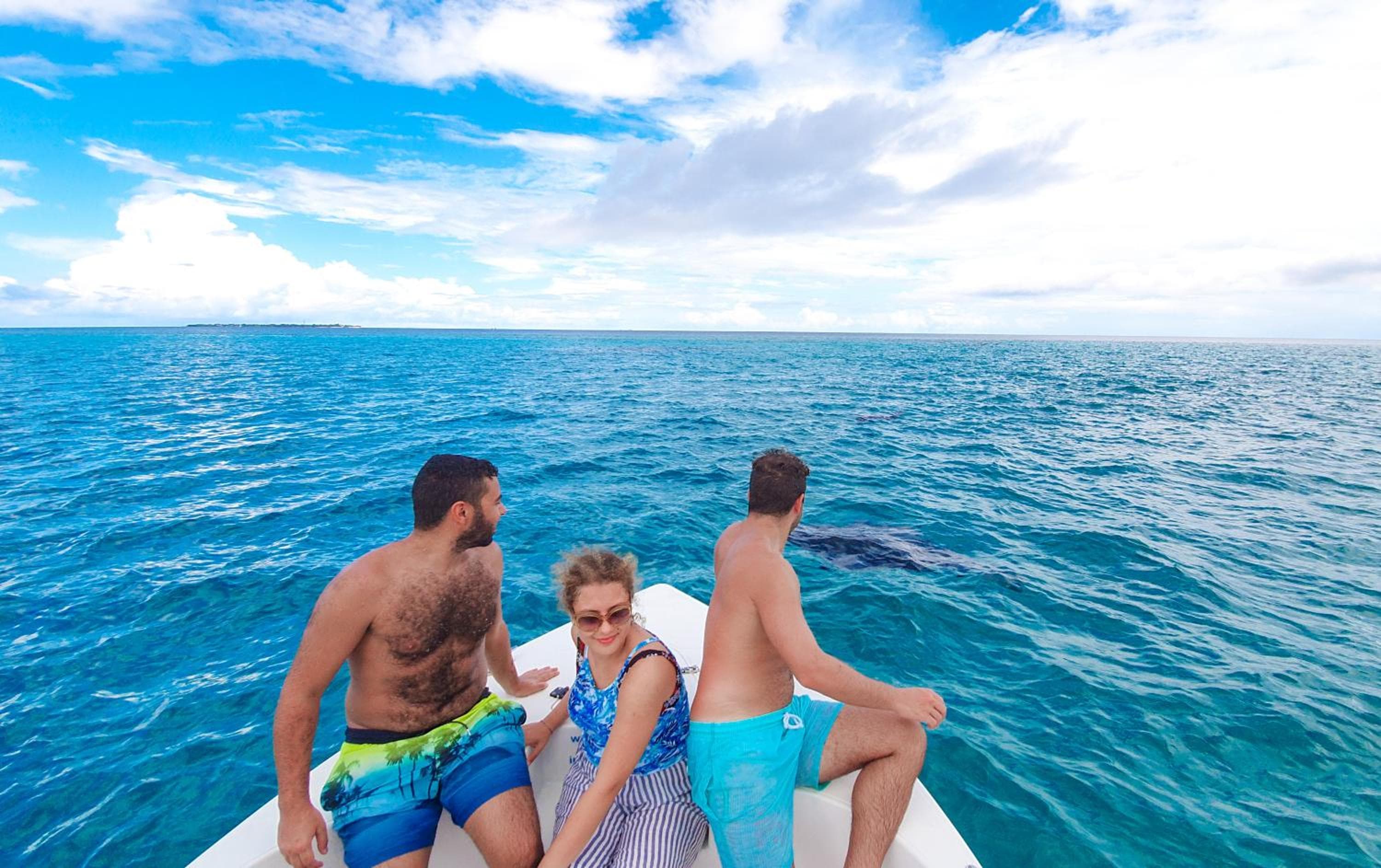 Sevinex Inn - View 38