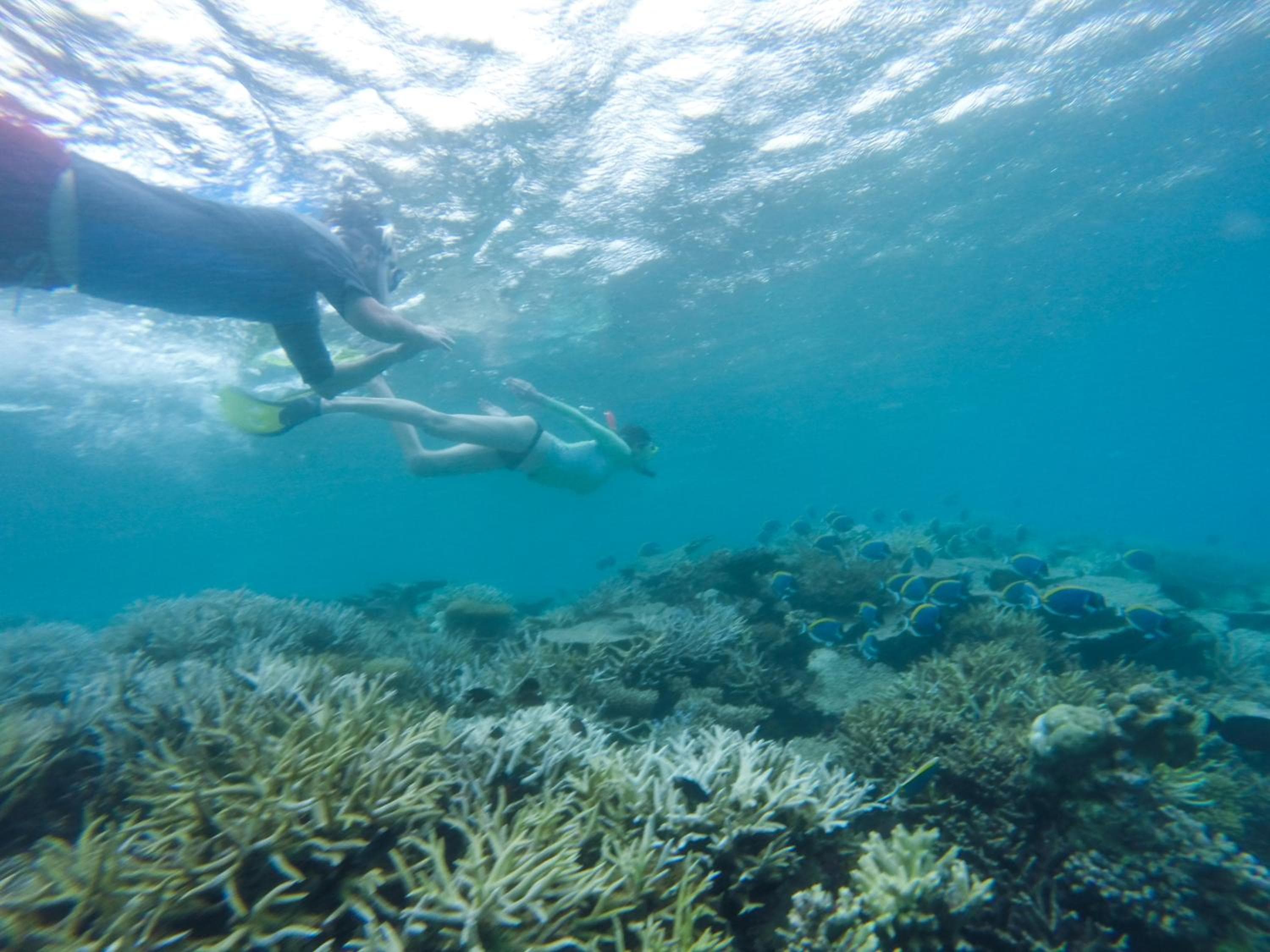 Sevinex Inn - View 35