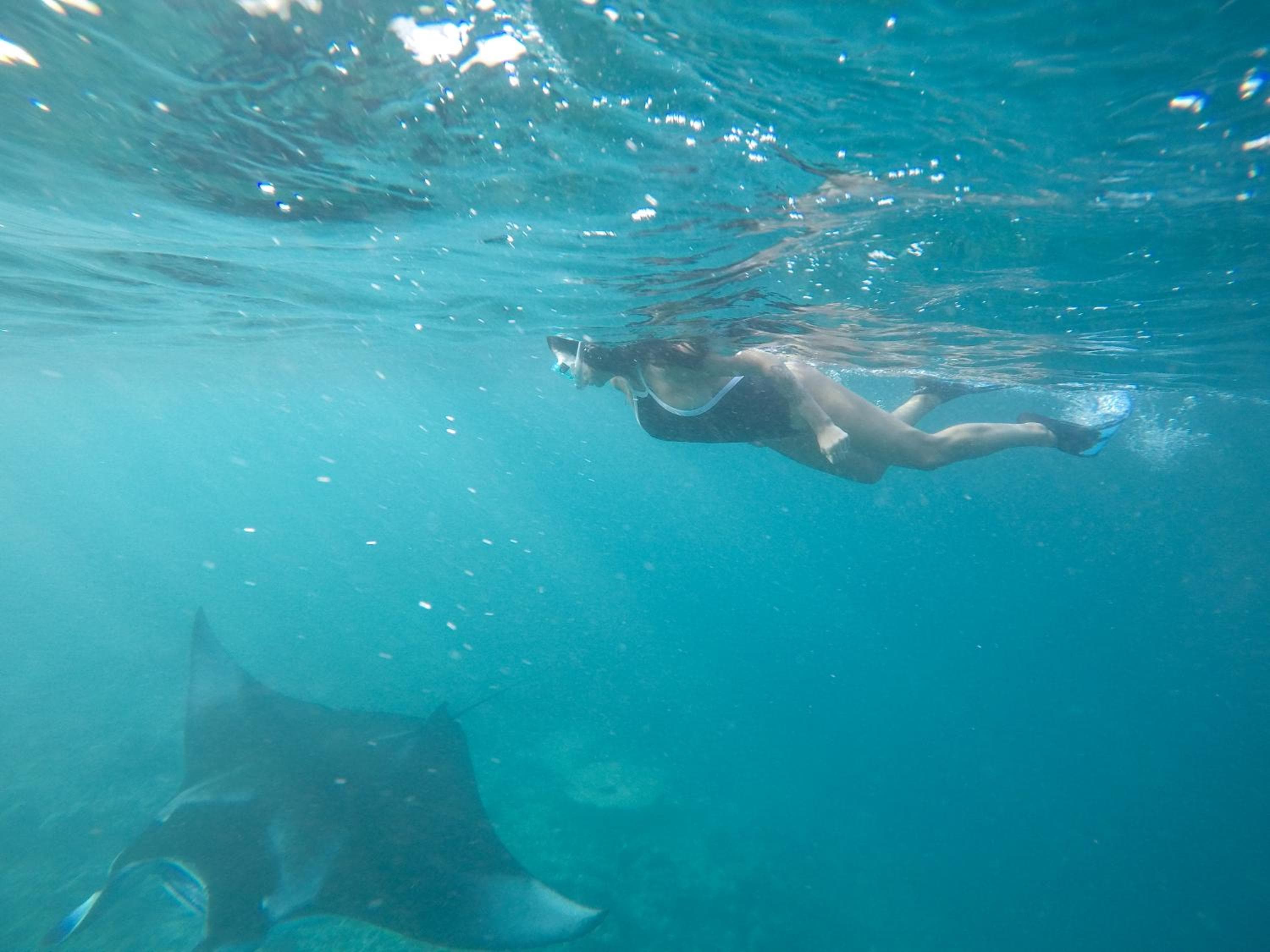 Sevinex Inn - View 48