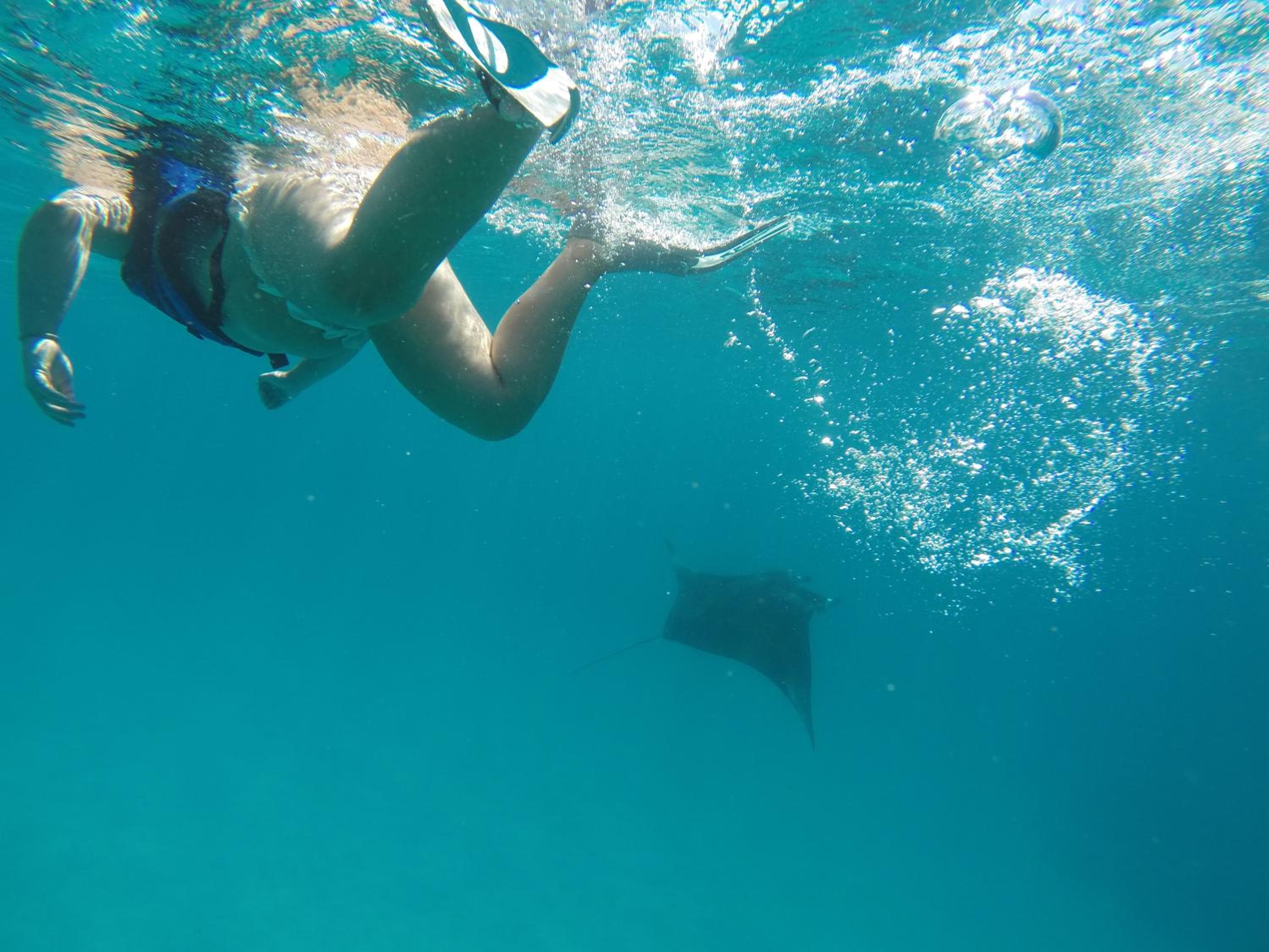 Sevinex Inn - View 26