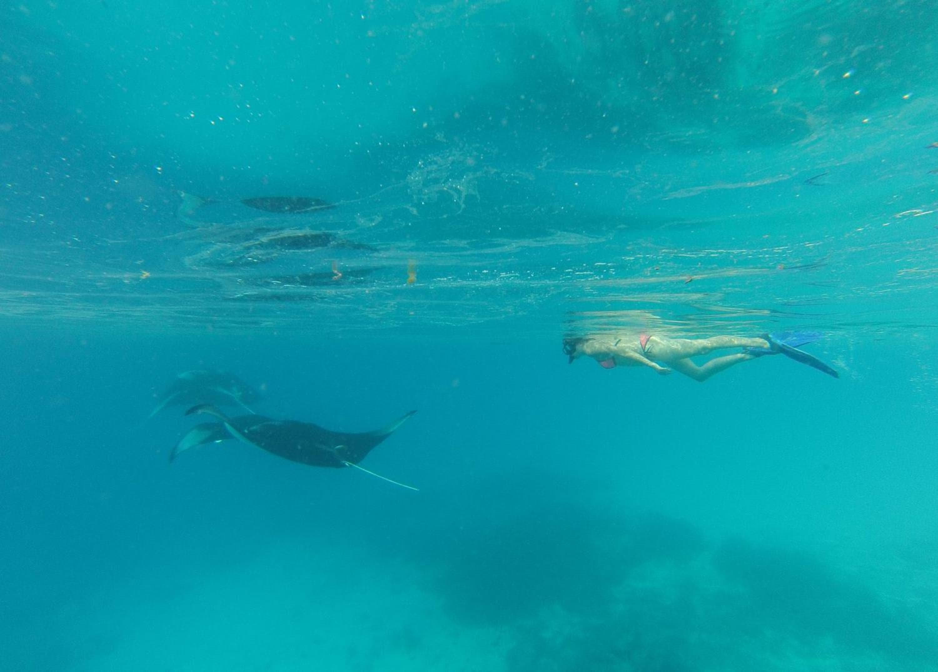 Sevinex Inn - View 36