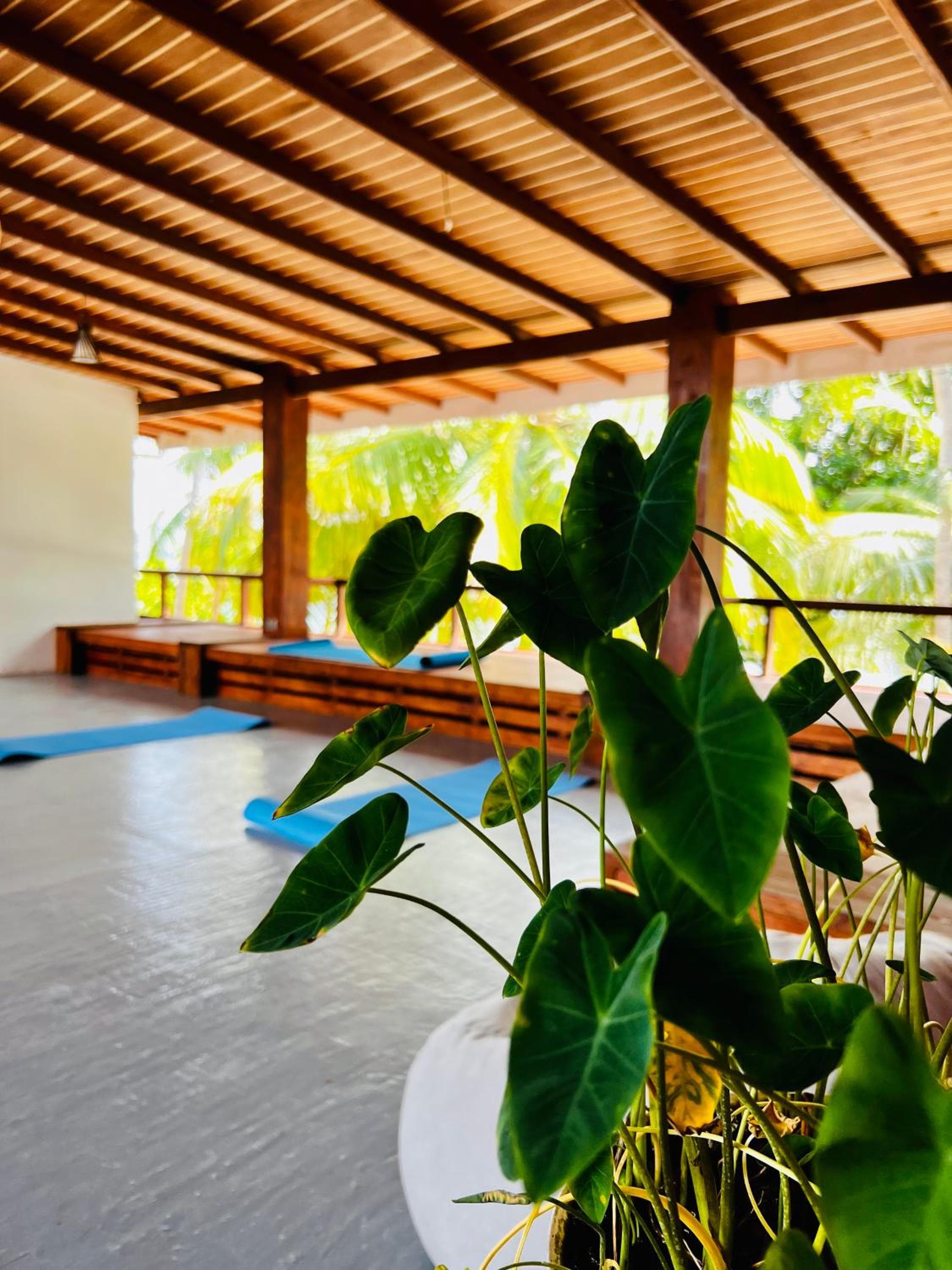 Aveyla Manta Village - View 79