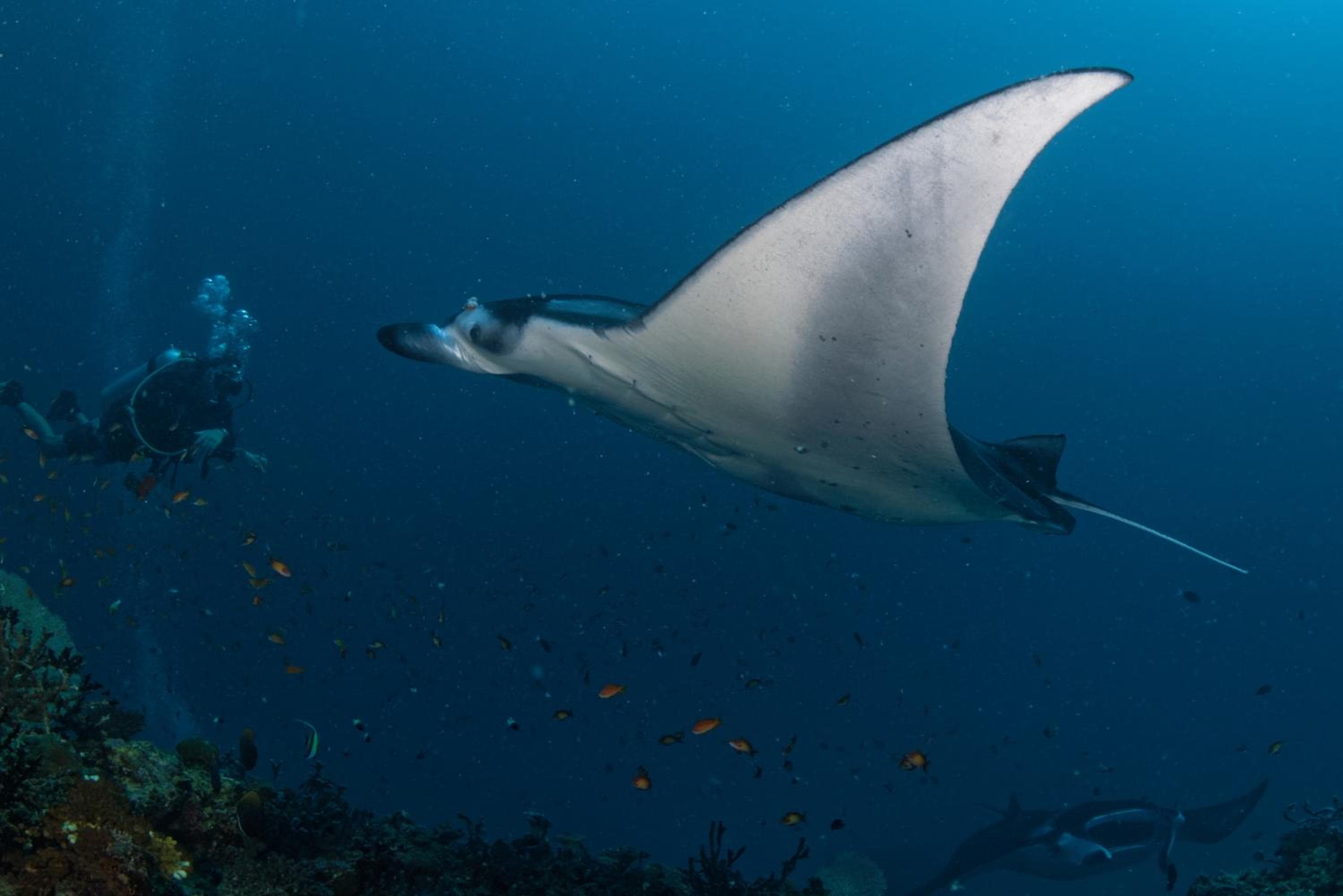 Aveyla Manta Village - View 86