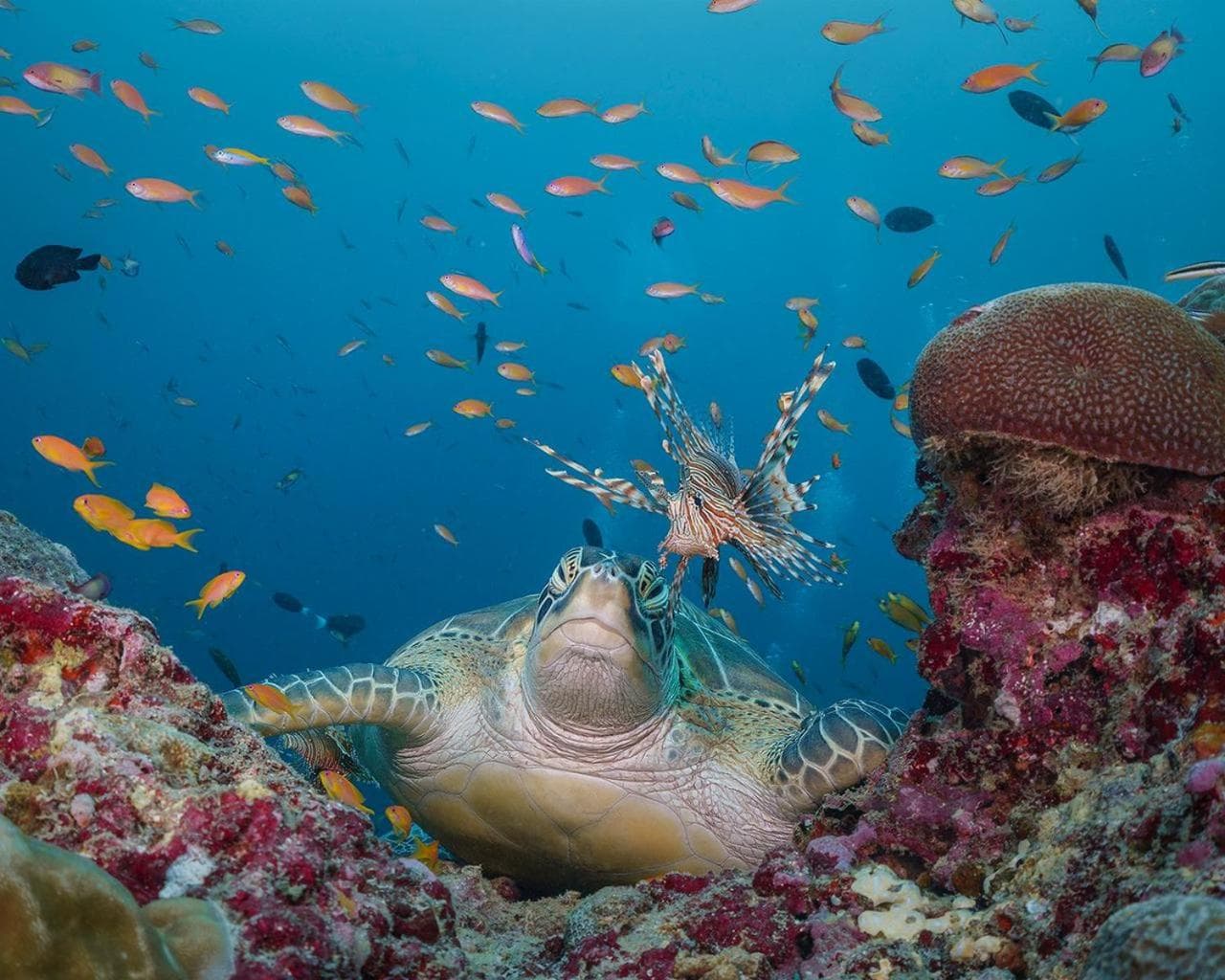 Aveyla Manta Village - View 89