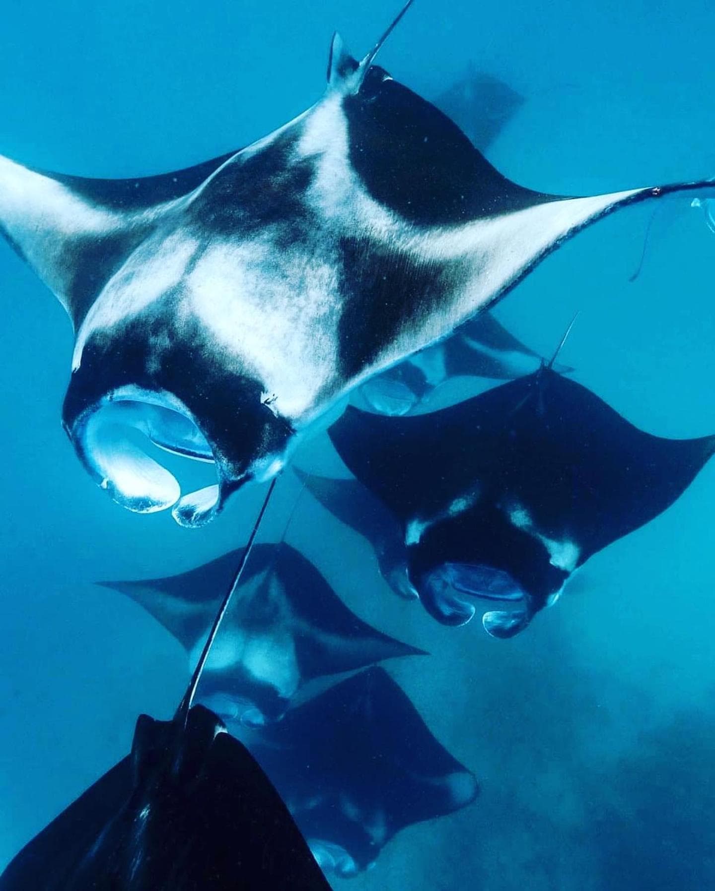 Aveyla Manta Village - View 91