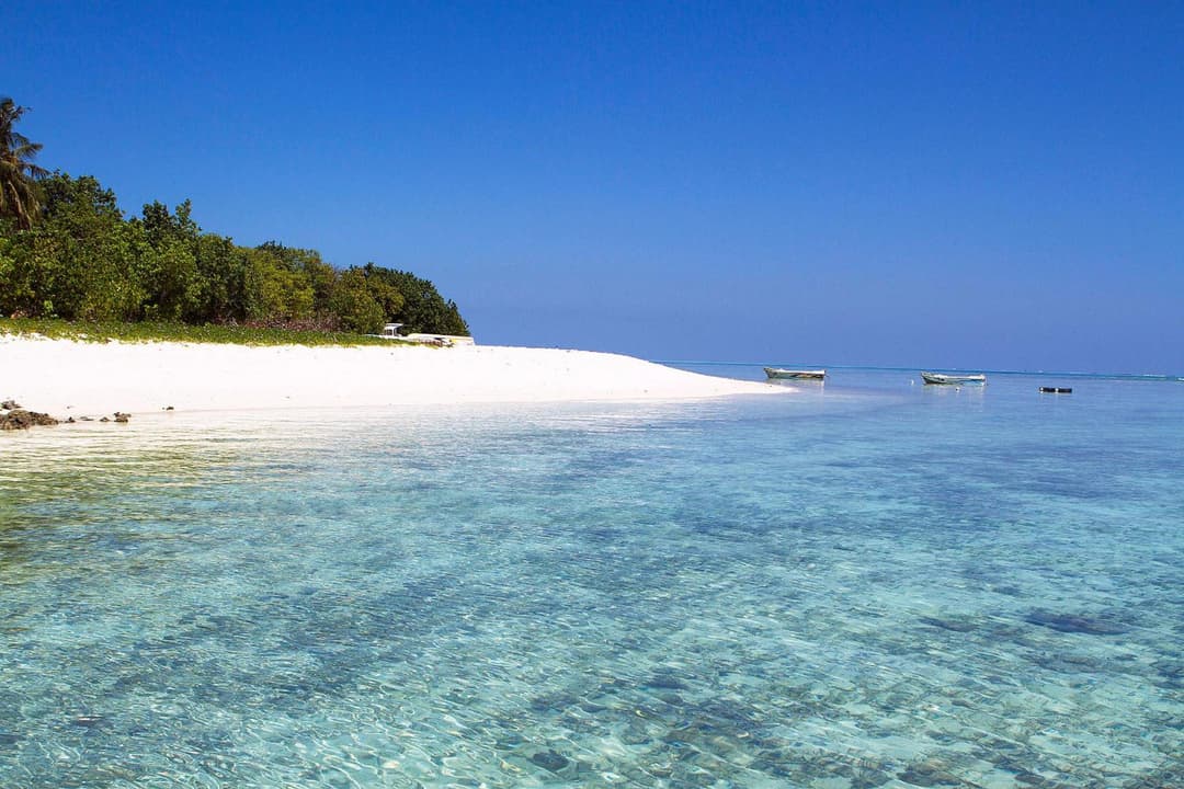 Tropic Tree Maldives - View 10