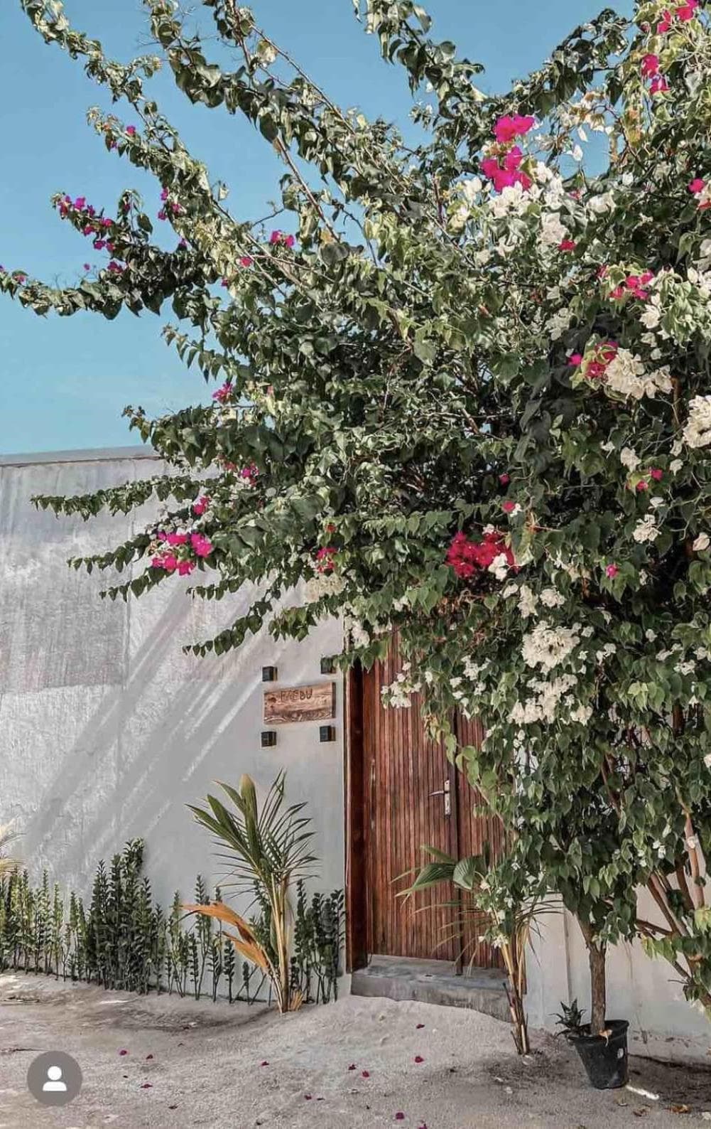 Rasdu View Inn - View 15