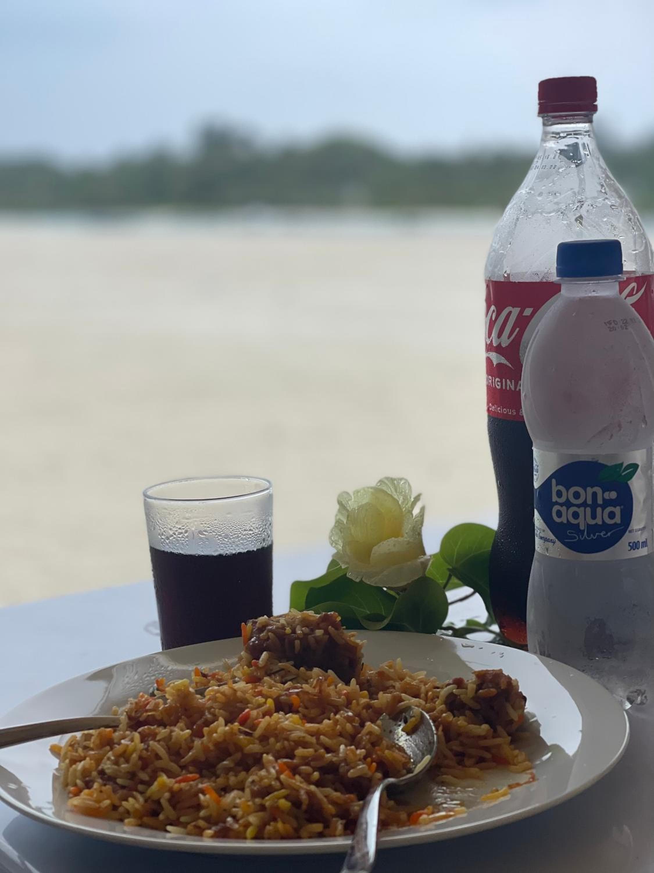 La Isla Tropica - View 30