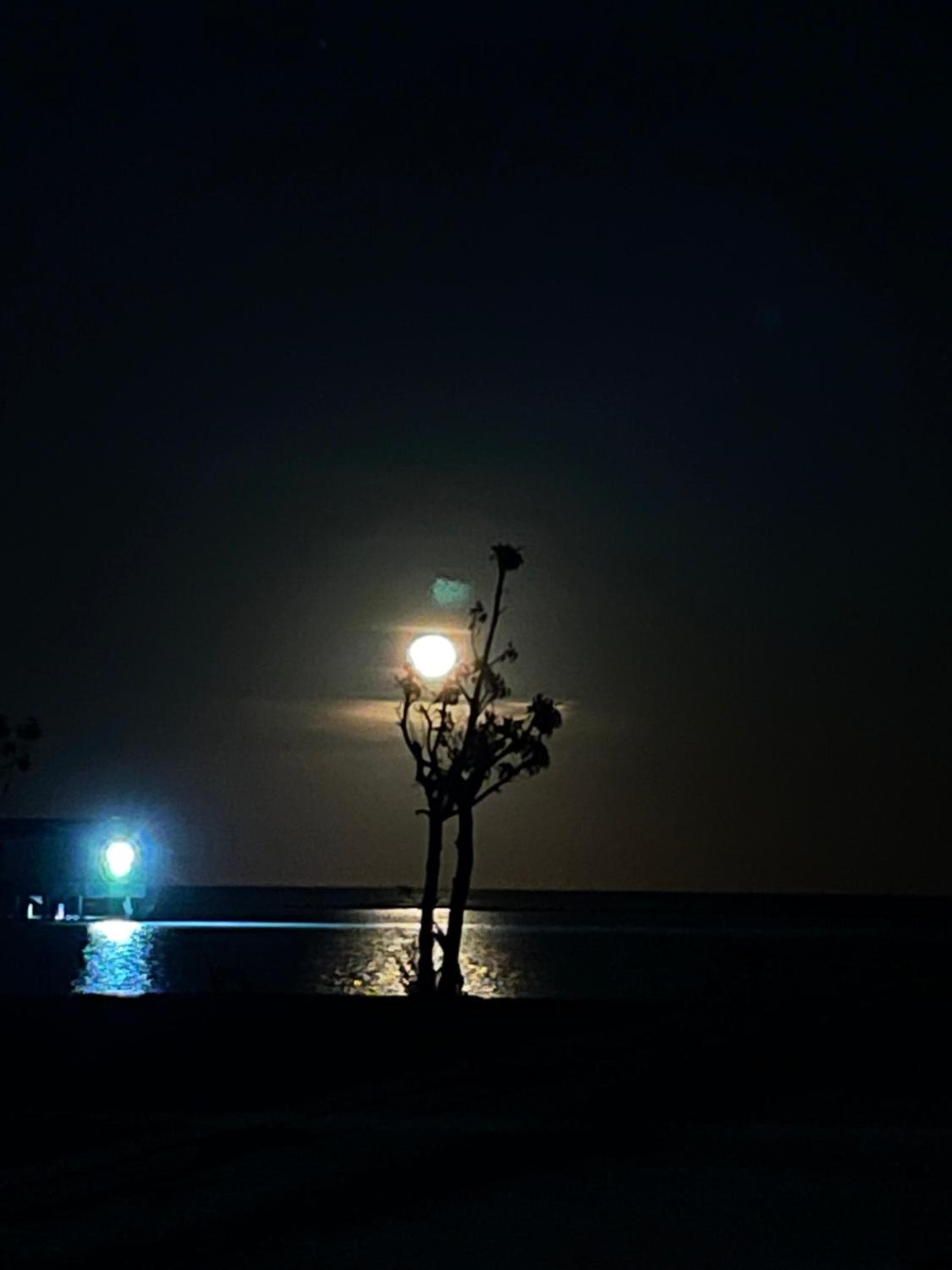 La Isla Tropica - View 59