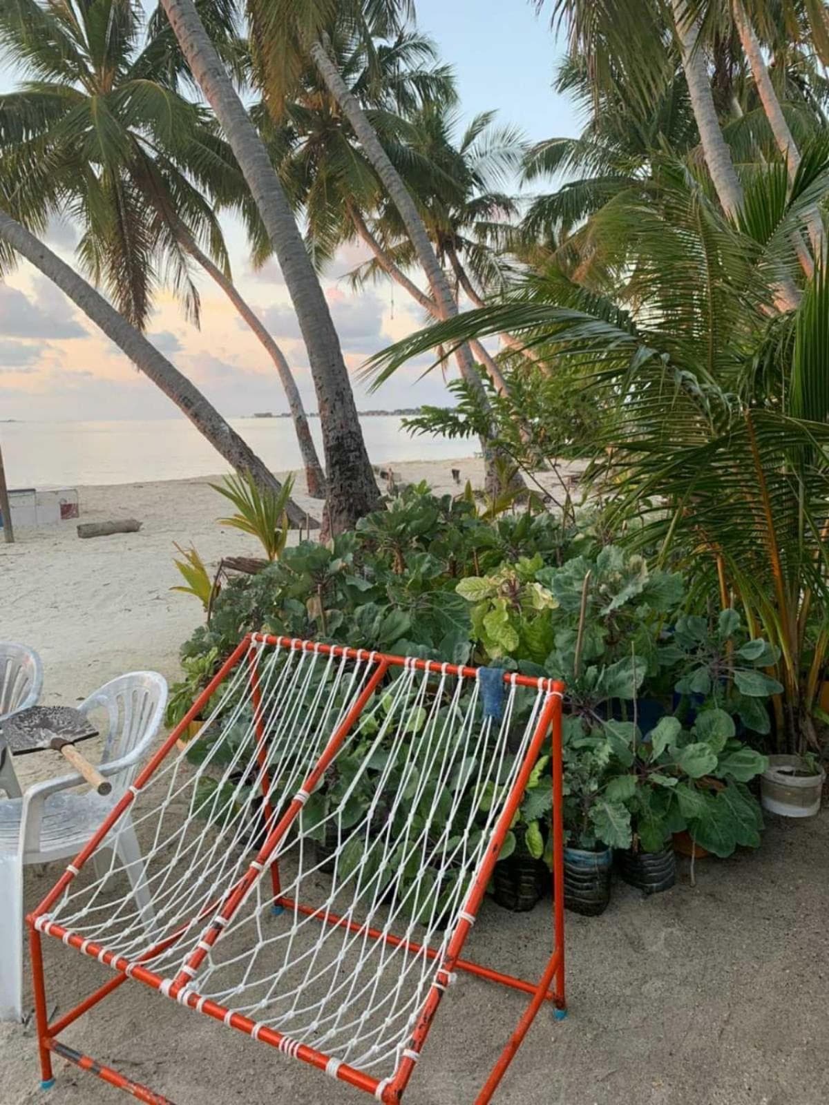 La Isla Tropica - View 56