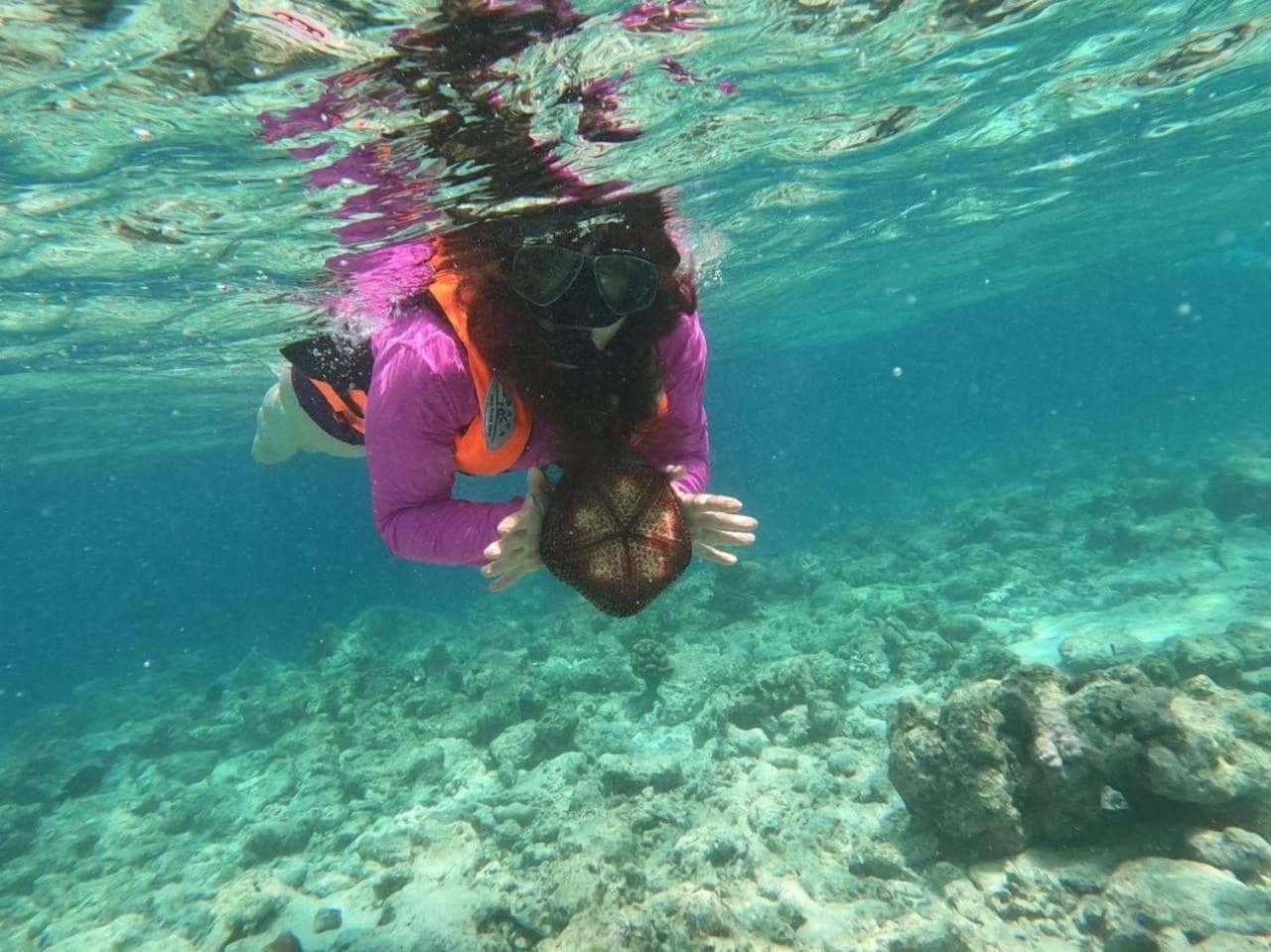 La Isla Tropica - View 38