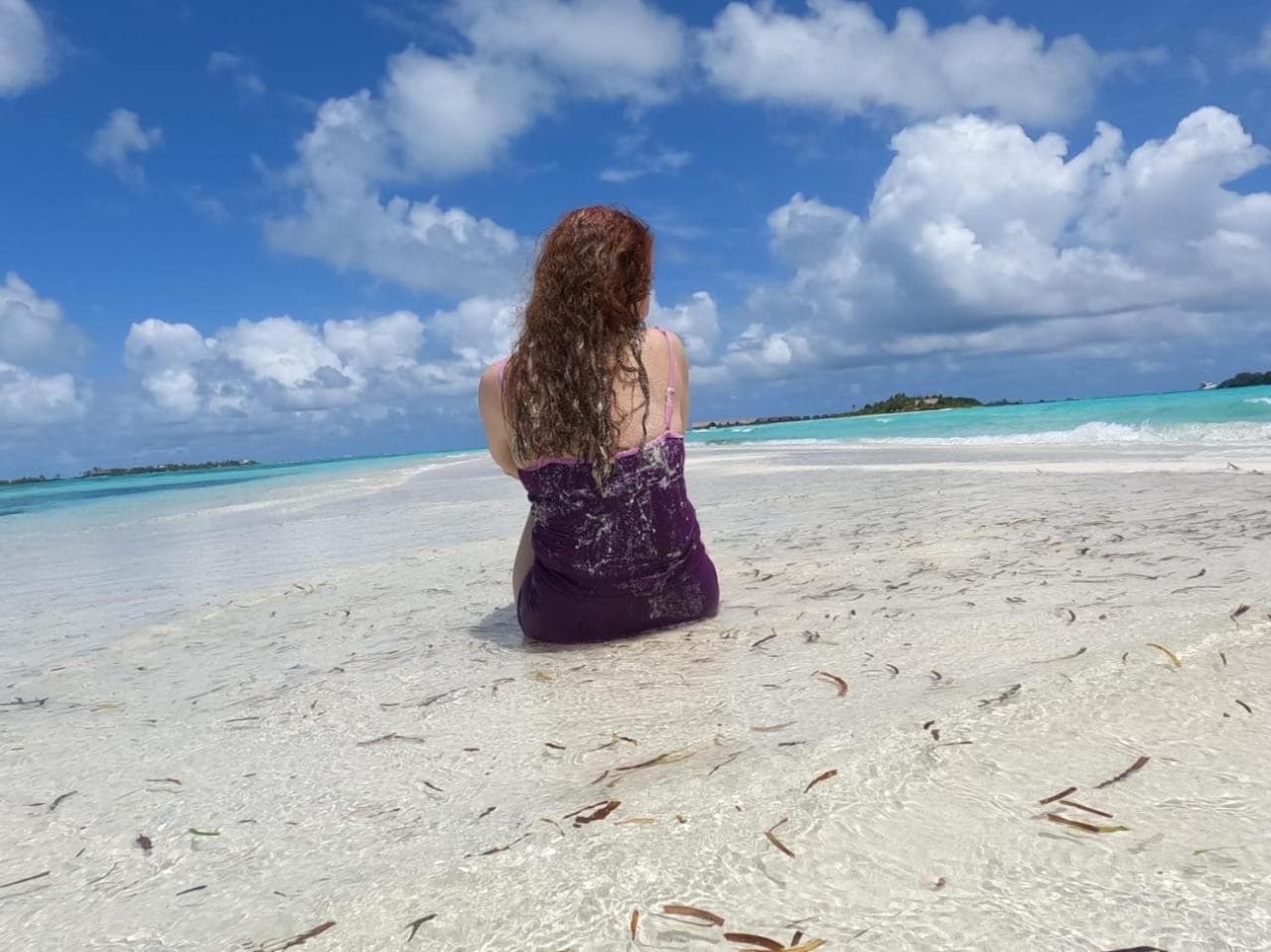 La Isla Tropica - View 37