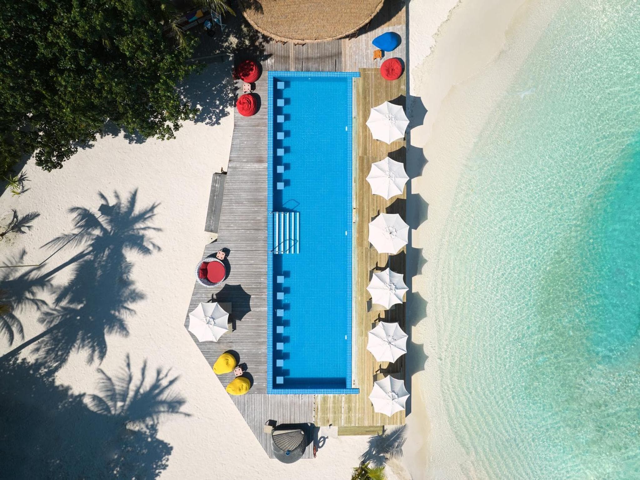 Centara Ras Fushi Resort & Spa Maldives - 50 percent discount on transfers for min 4 nights stay and more, valid for reservations between 11th Feb till 22  - View 55