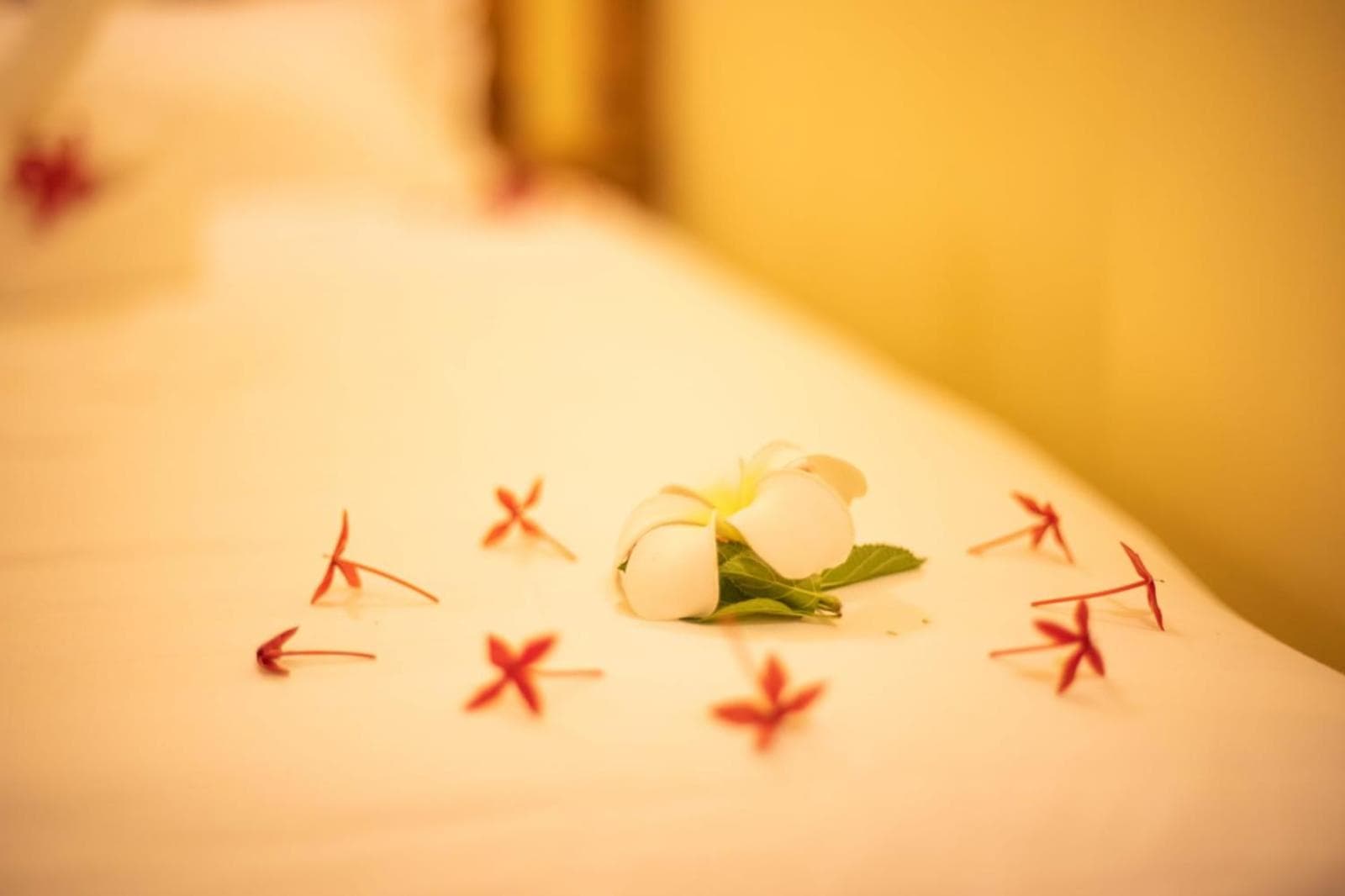 Tranquil Thoddoo - View 2