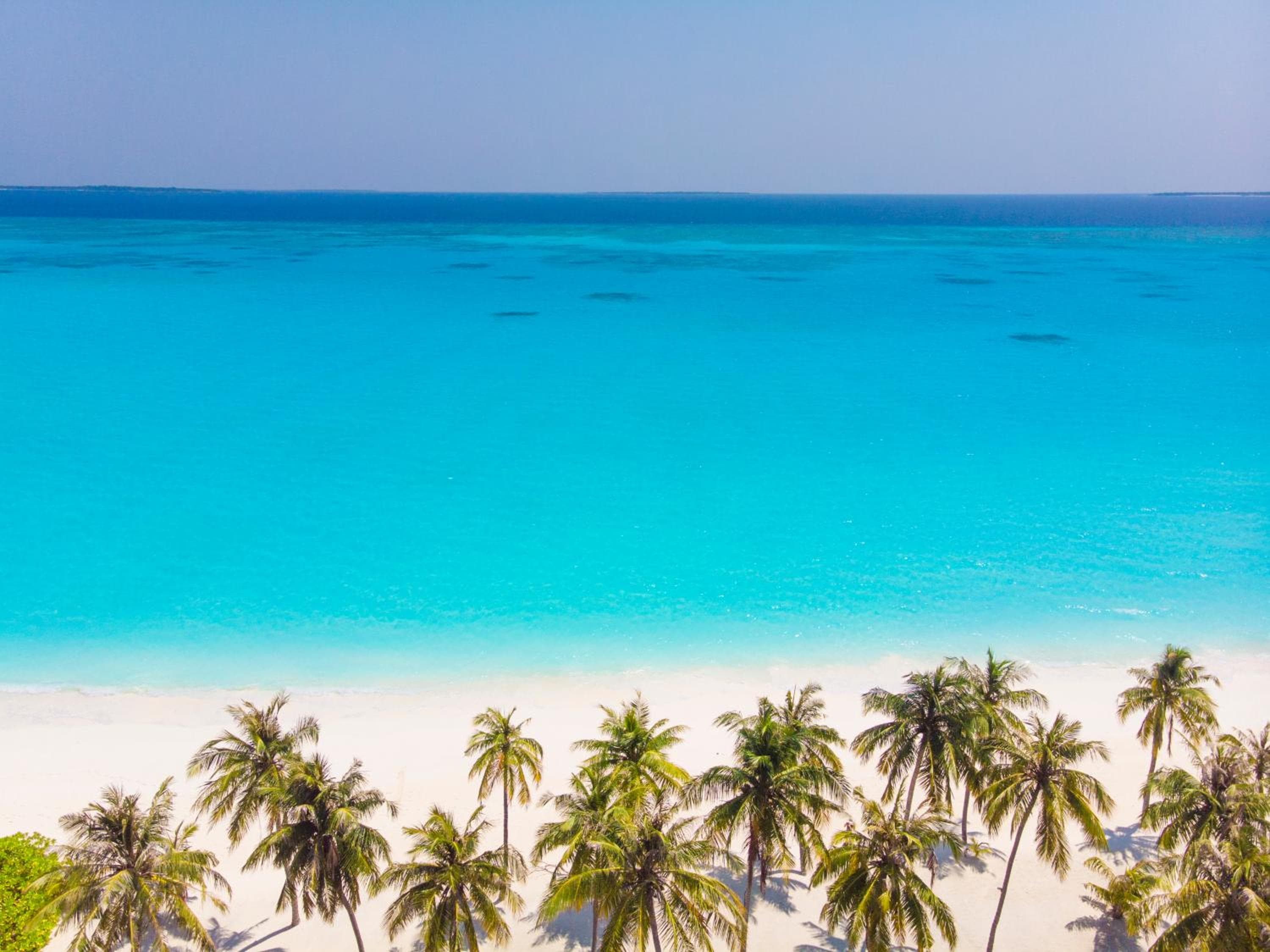 Hondaafushi Island Resort - View 31