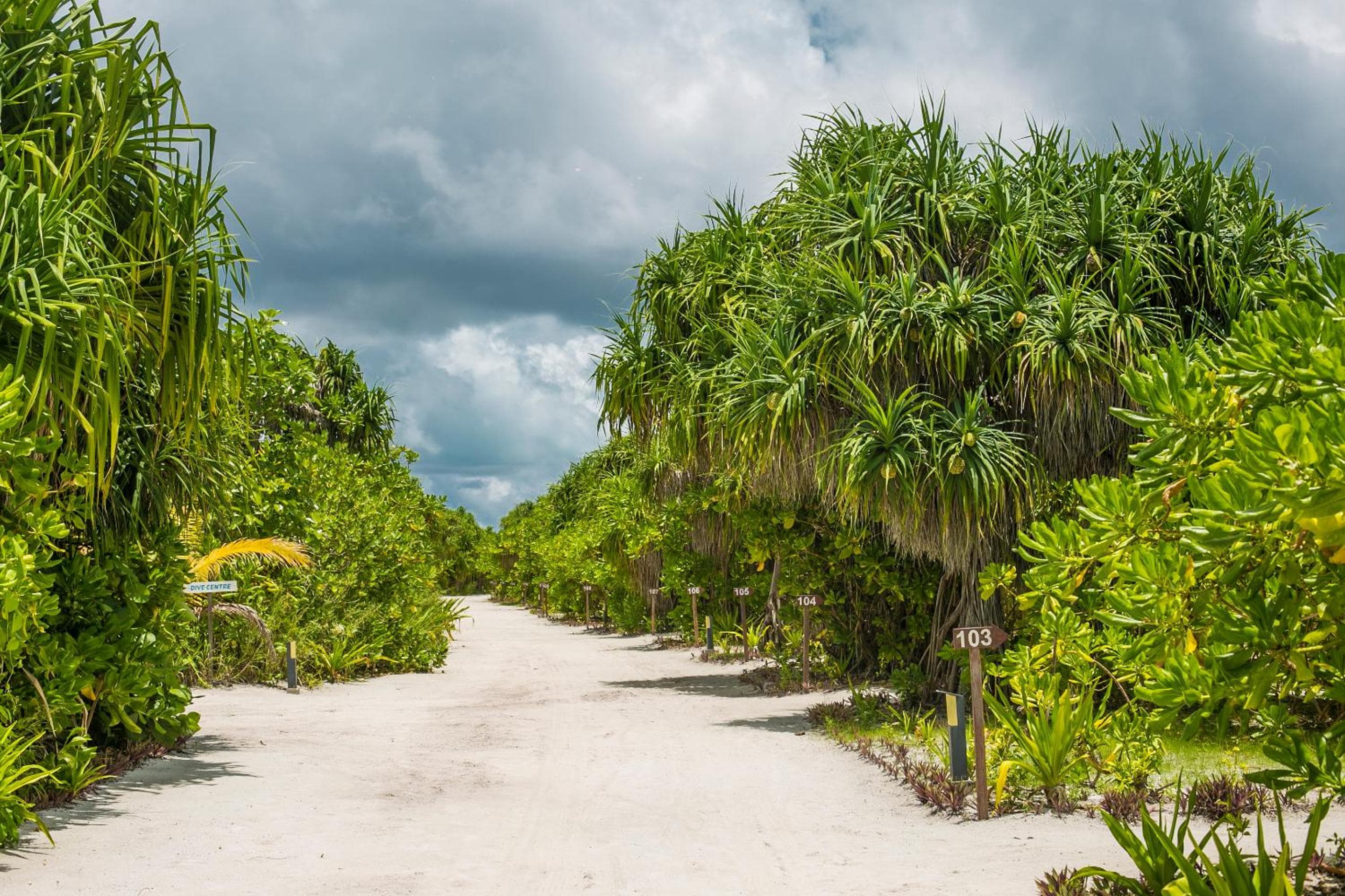 Hondaafushi Island Resort - View 33