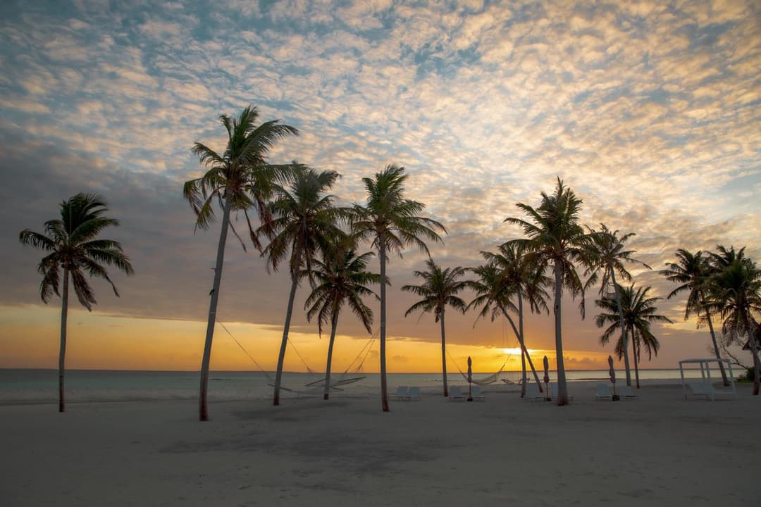 Hondaafushi Island Resort - View 42