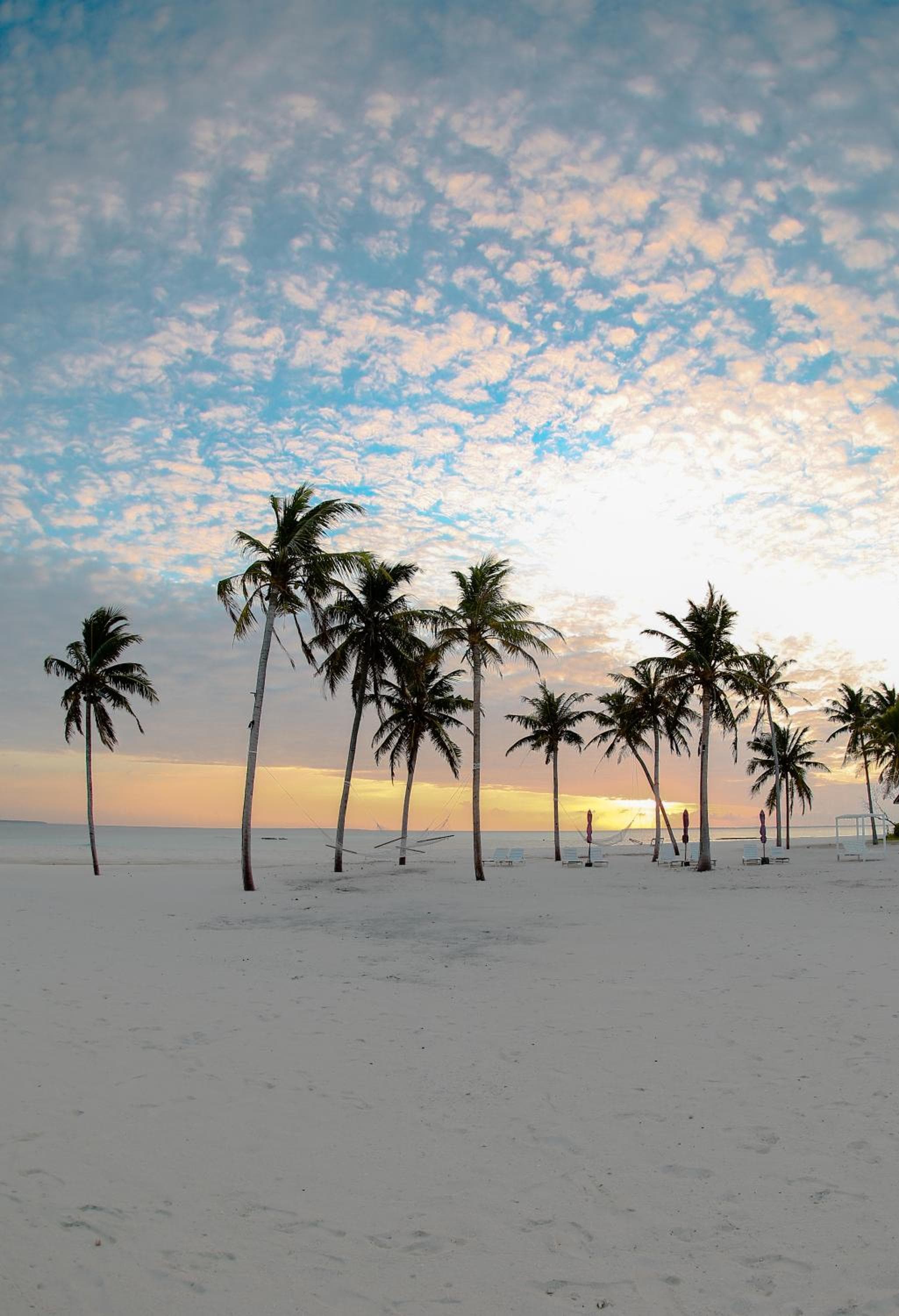 Hondaafushi Island Resort - View 37