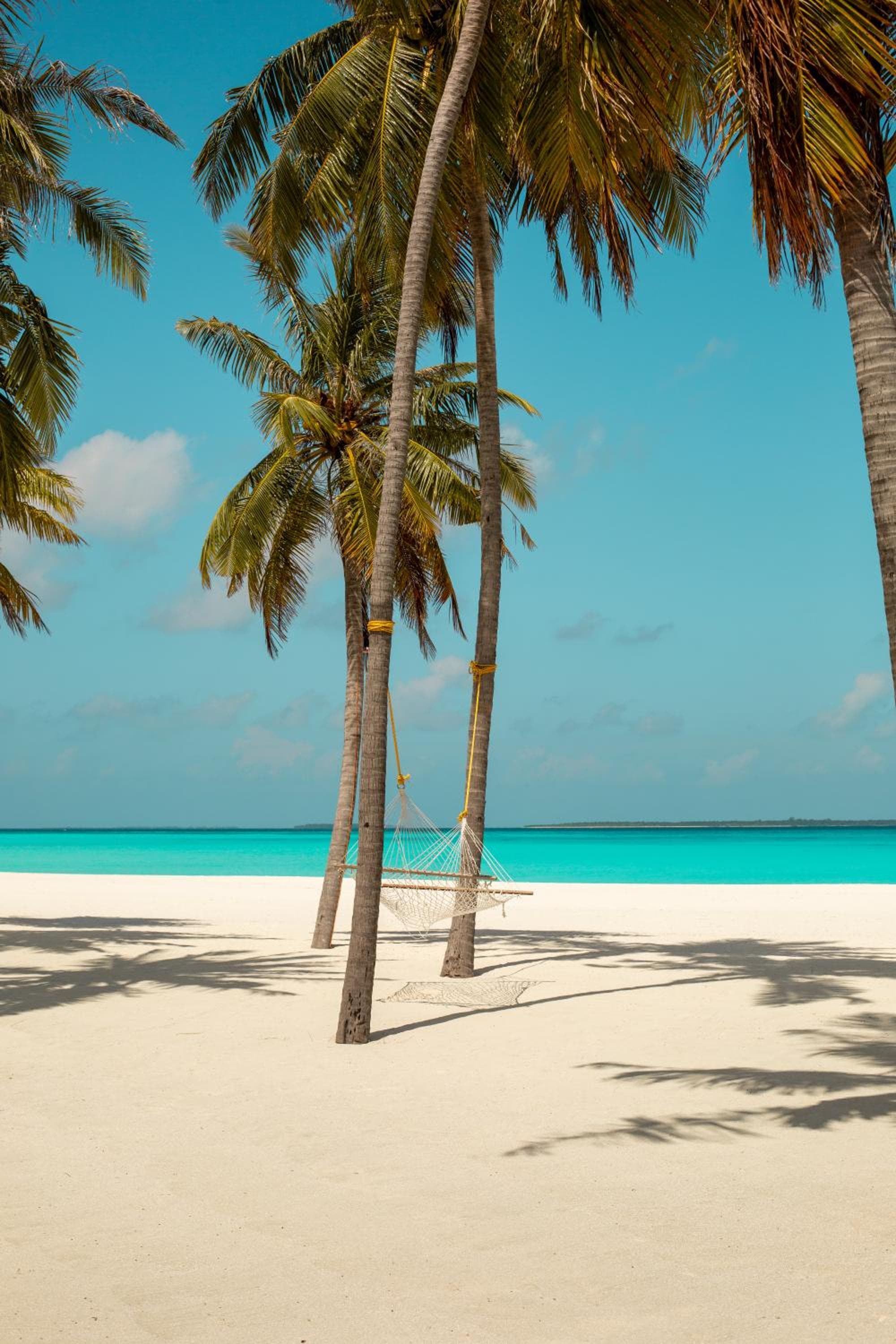 Hondaafushi Island Resort - View 41