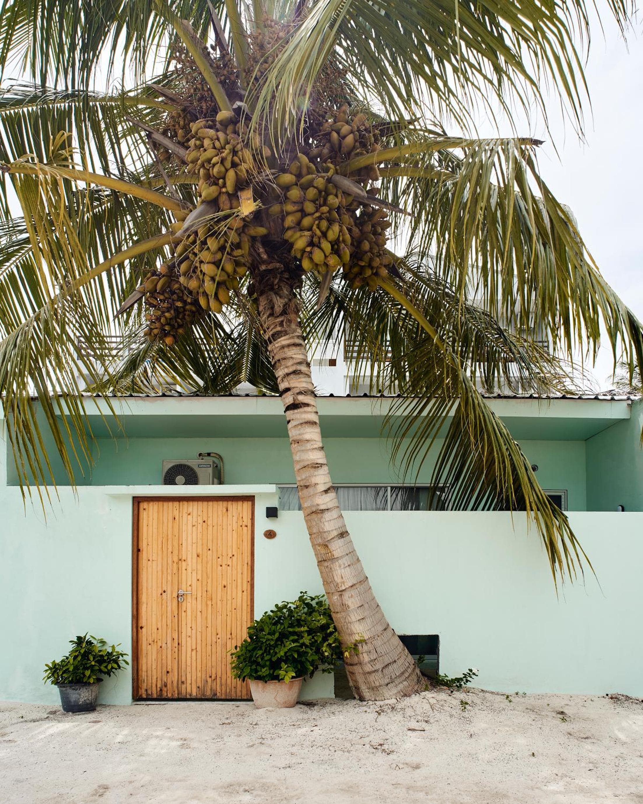 Bliss Dhigurah - View 136