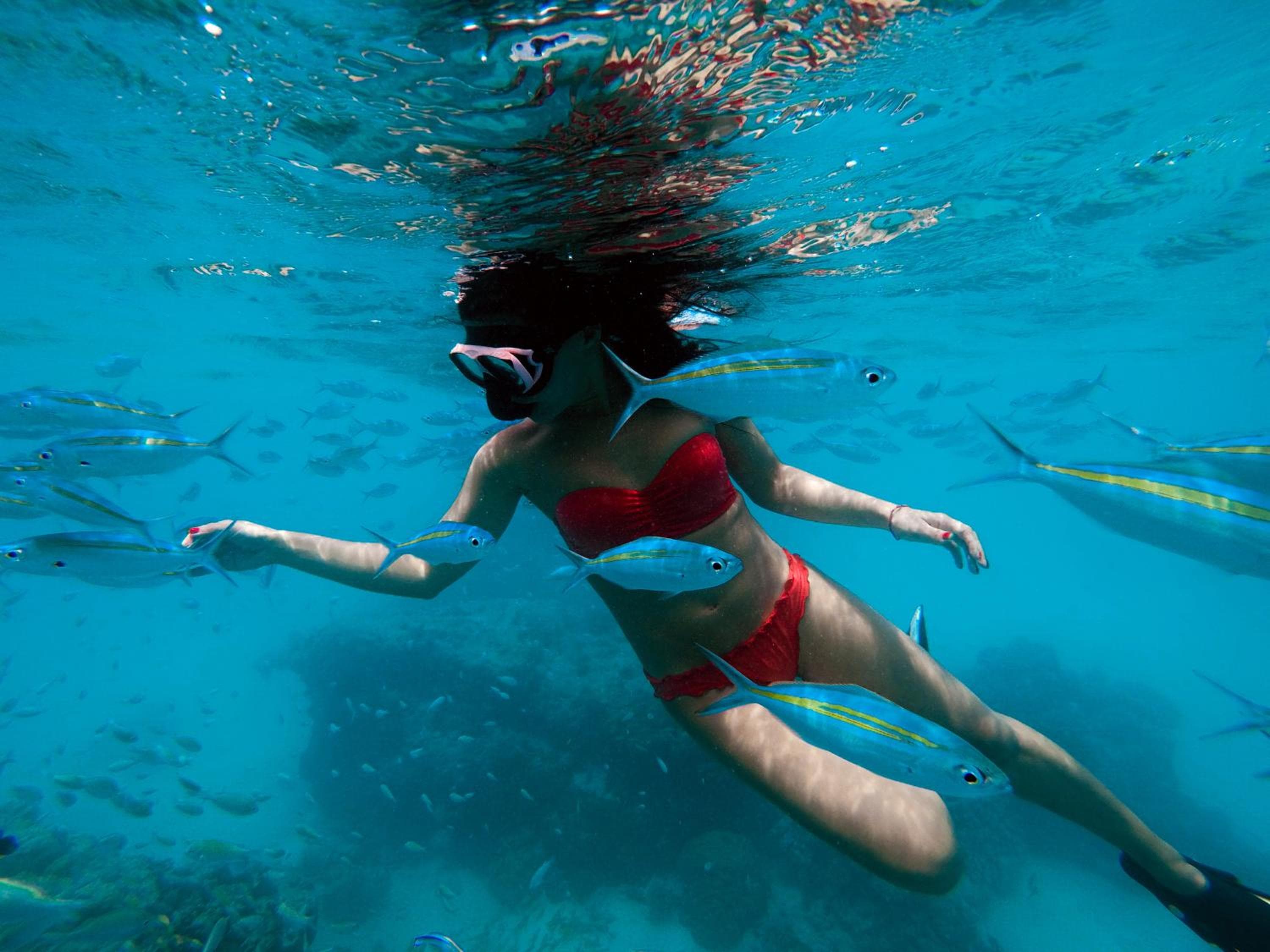 Summer Vibes Beach Front - View 142