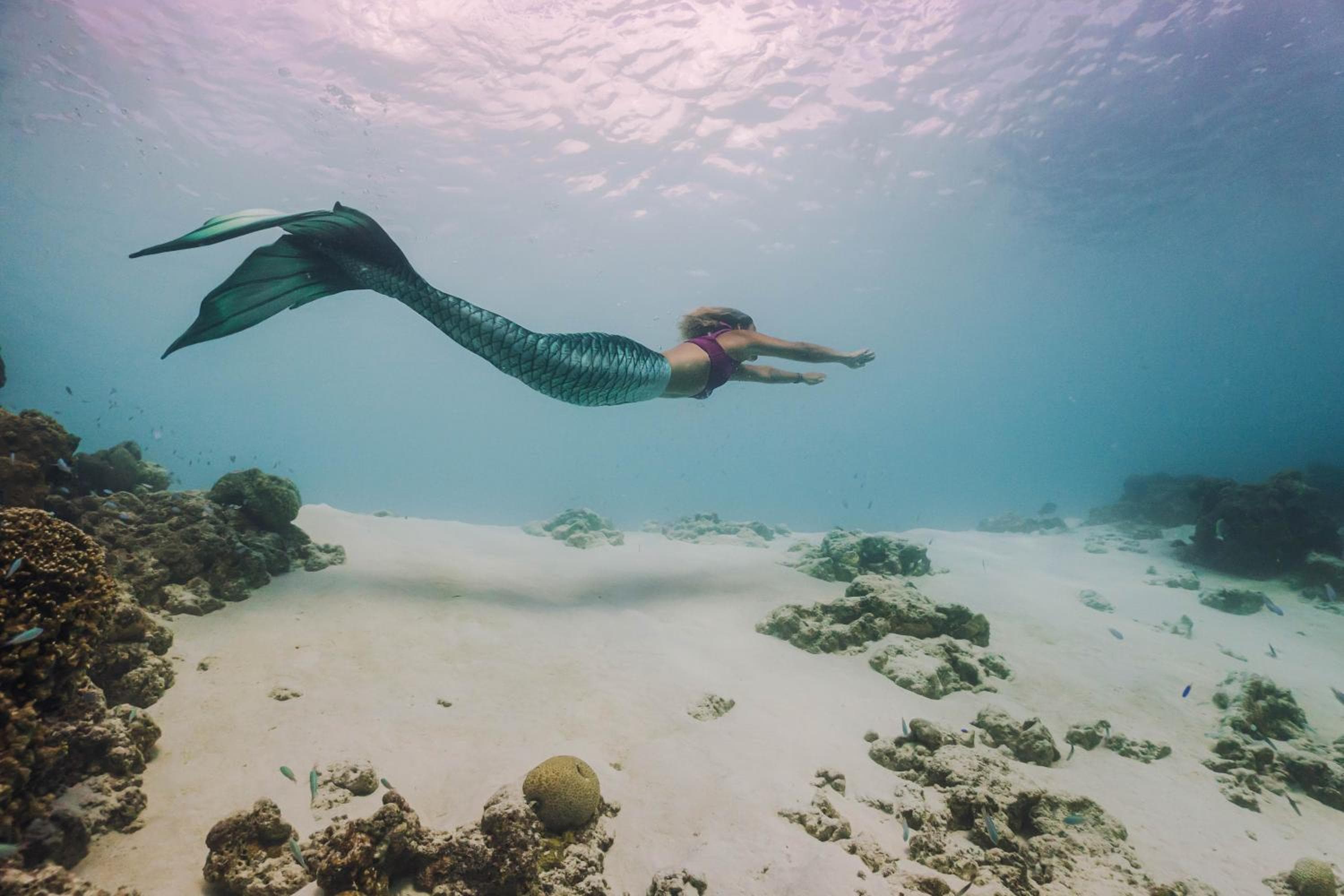 Siyam World Maldives - 24-Hour Premium All-inclusive with Free Transfer - View 20