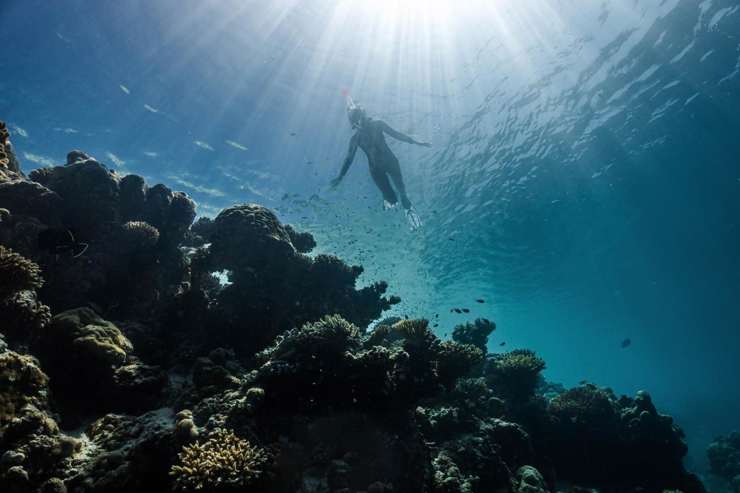 Siyam World Maldives - 24-Hour Premium All-inclusive with Free Transfer - View 123