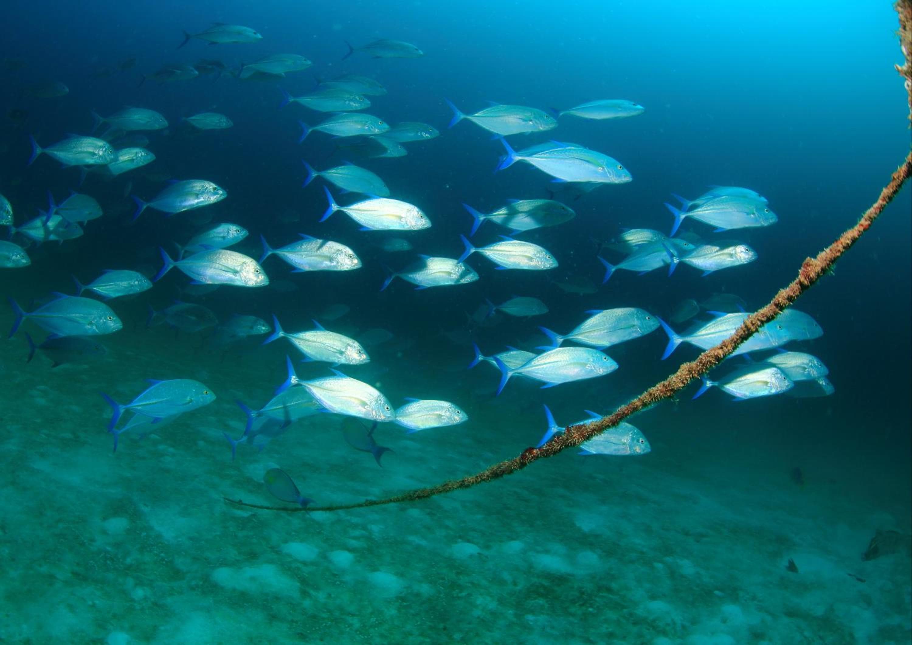 The Beehive - View 22