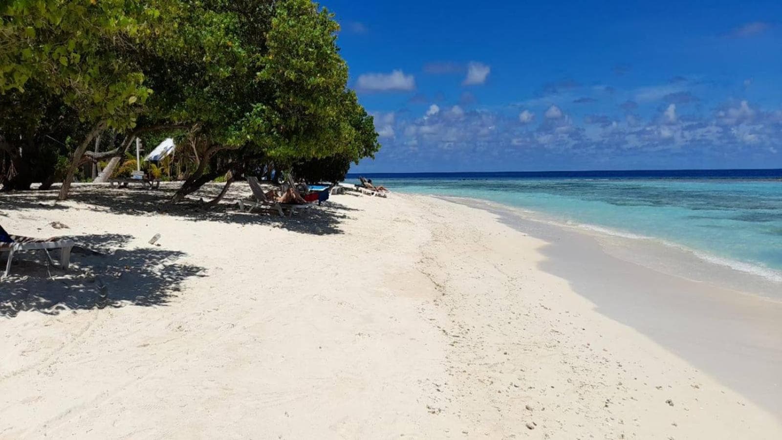 Beach Cottage - View 65